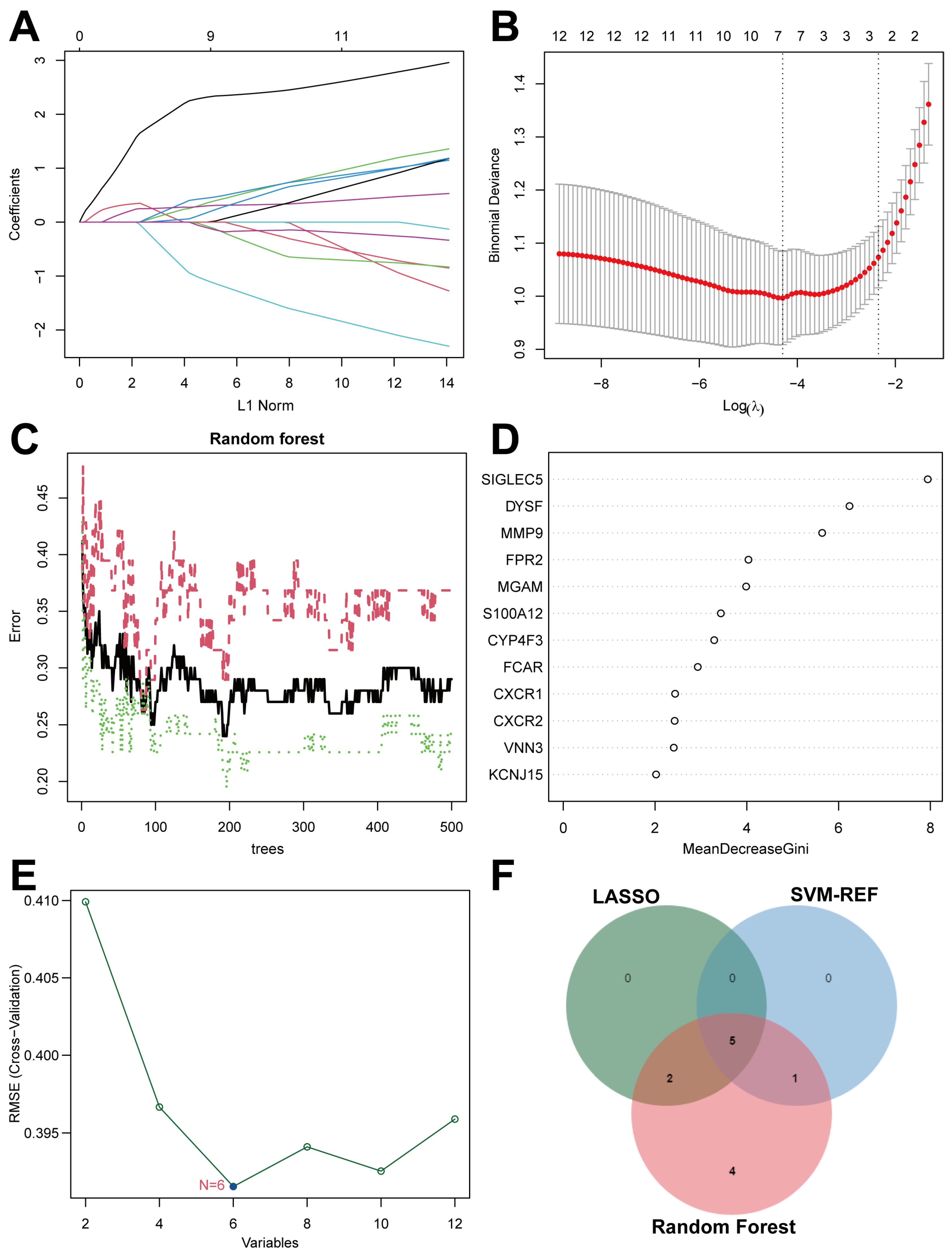 Ijms 26 03230 g005 Ijms 26 03230 g005
