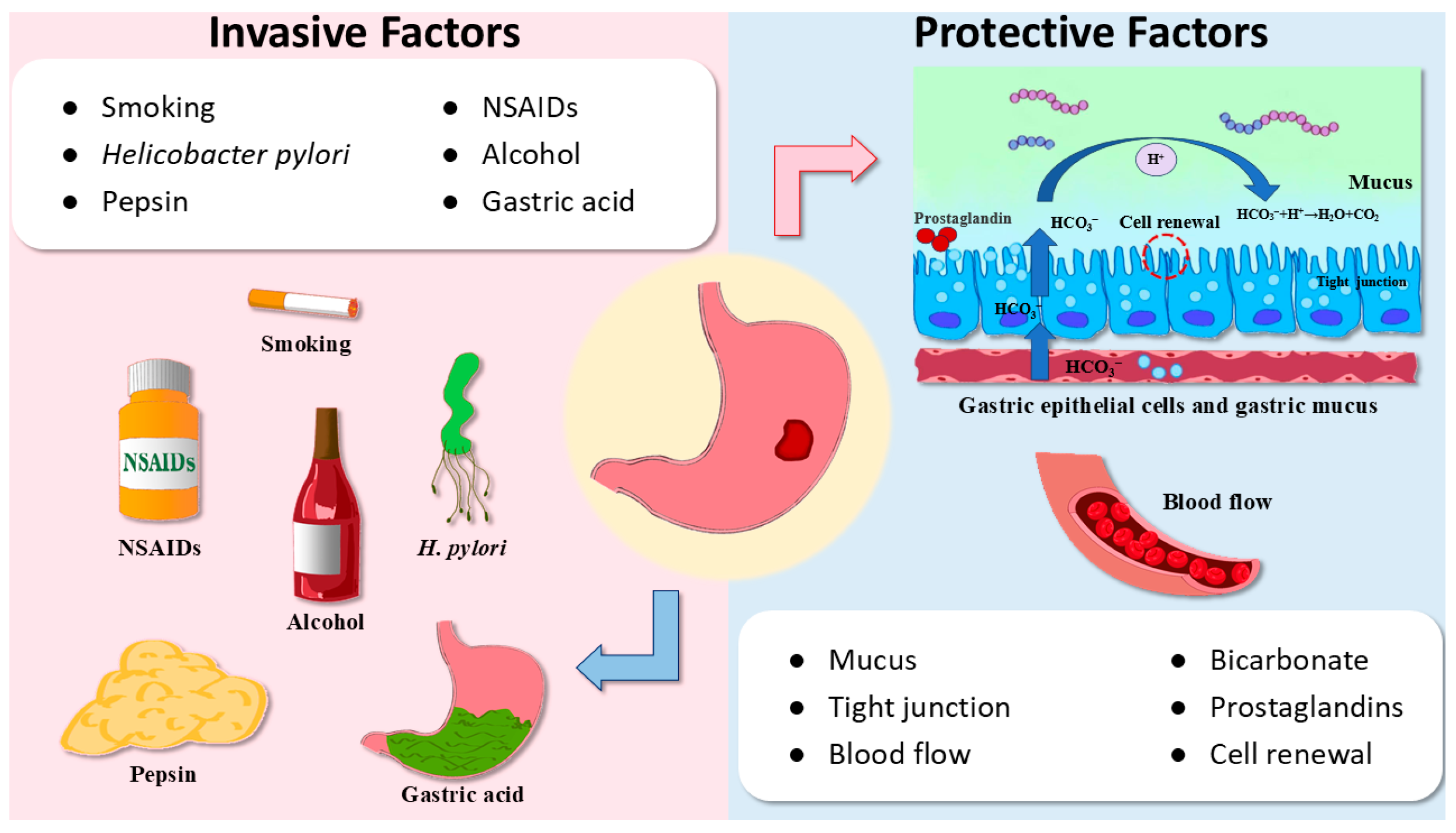 Ijms 26 03237 g001 Ijms 26 03237 g001