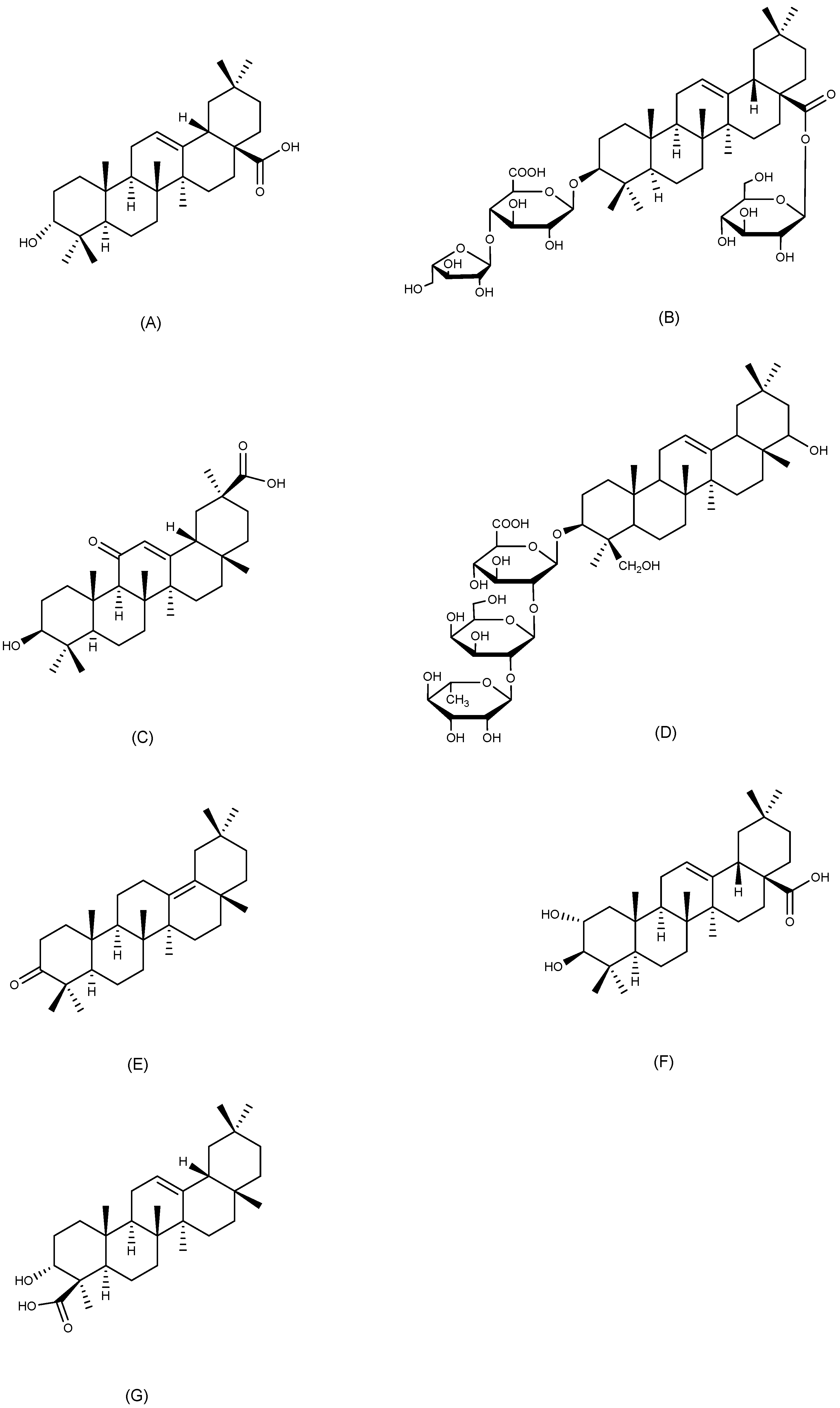 Ijms 26 03237 g007 Ijms 26 03237 g007