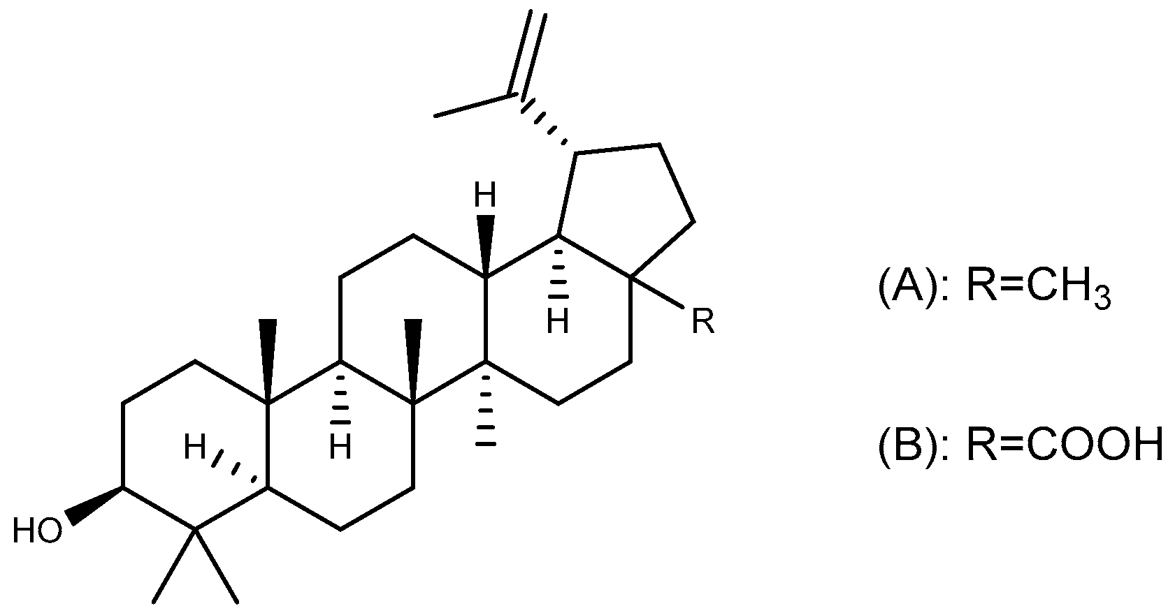 Ijms 26 03237 g009 Ijms 26 03237 g009