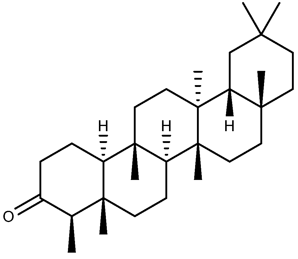 Ijms 26 03237 g010 Ijms 26 03237 g010