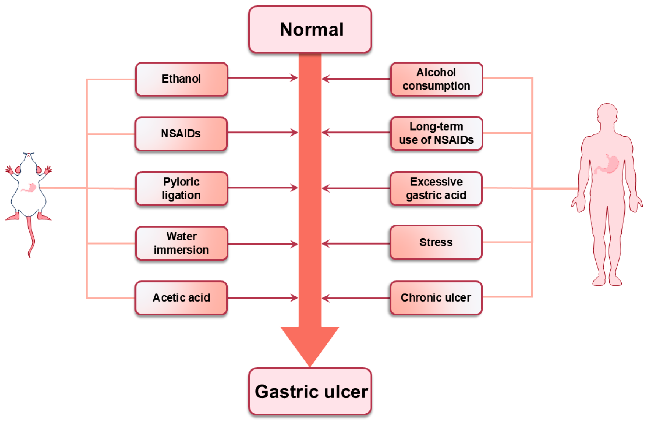 Ijms 26 03237 g013 Ijms 26 03237 g013