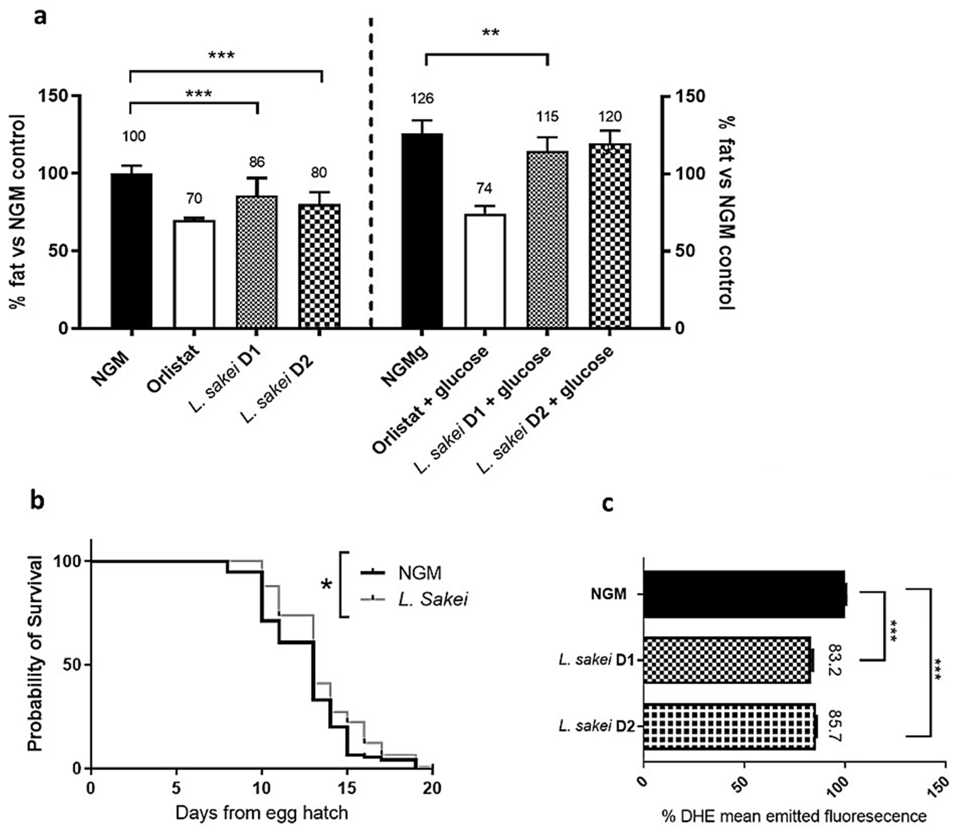 Ijms 26 03286 g005 Ijms 26 03286 g005