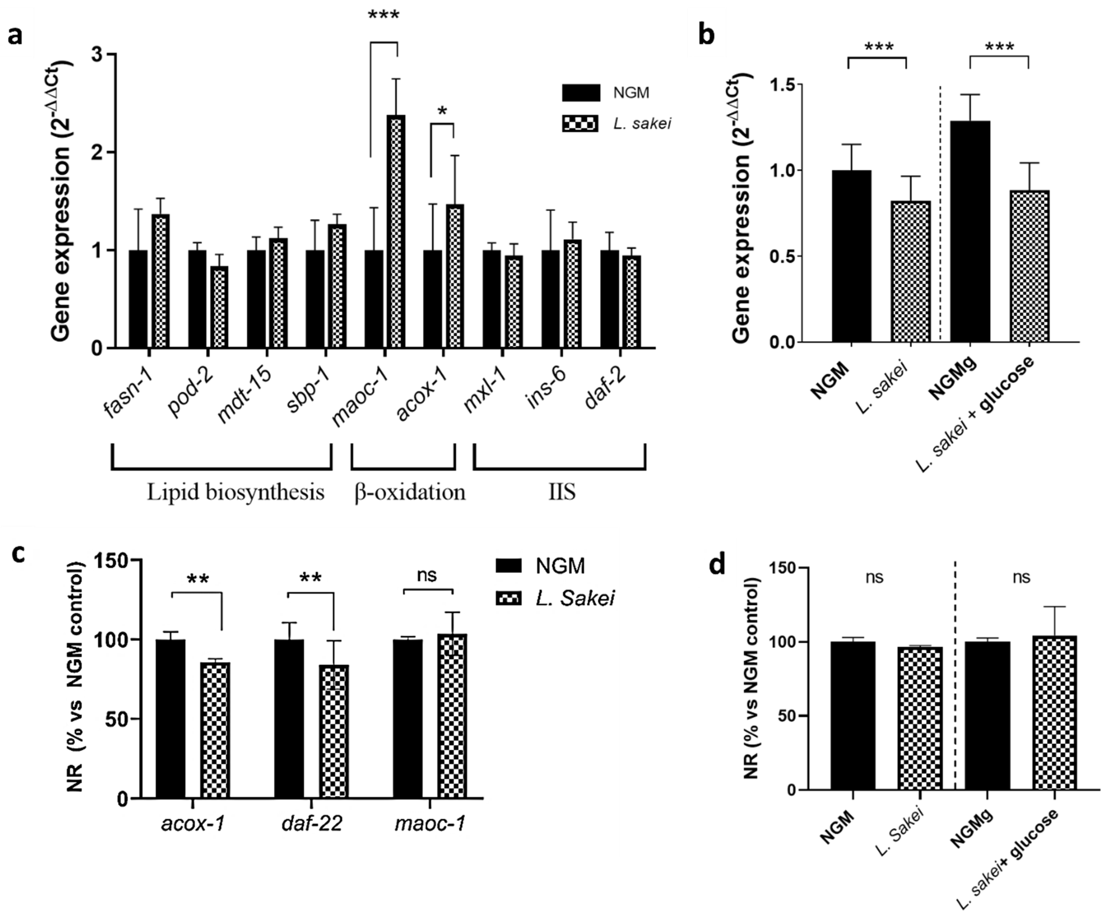 Ijms 26 03286 g006 Ijms 26 03286 g006