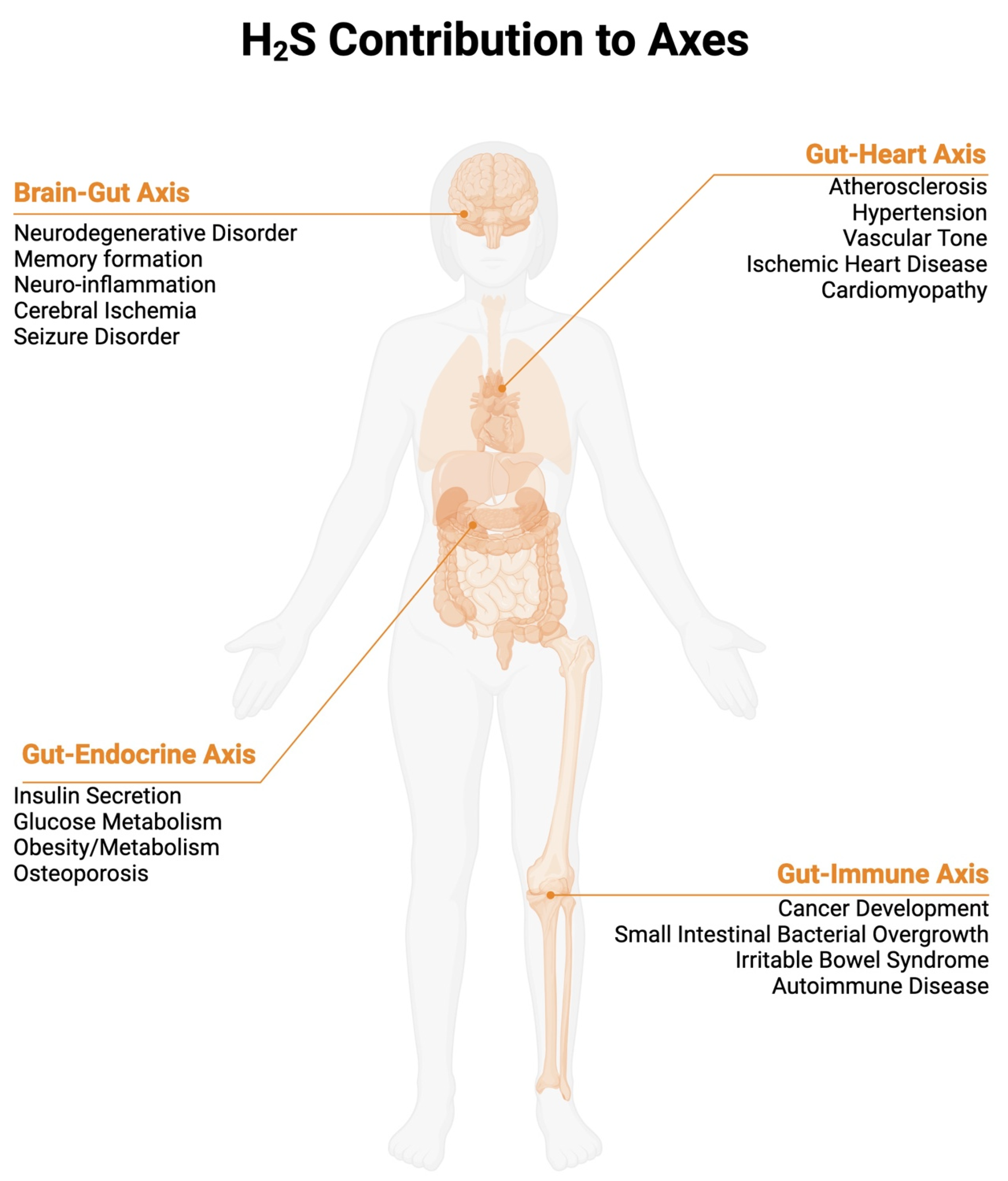 Ijms 26 03340 g001 Ijms 26 03340 g001