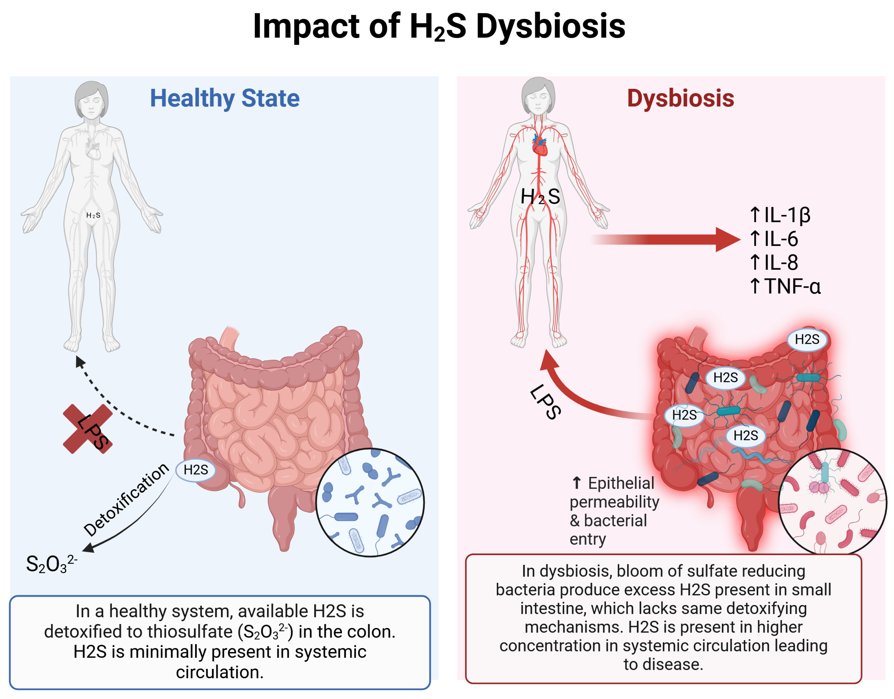 Ijms 26 03340 g002 Ijms 26 03340 g002