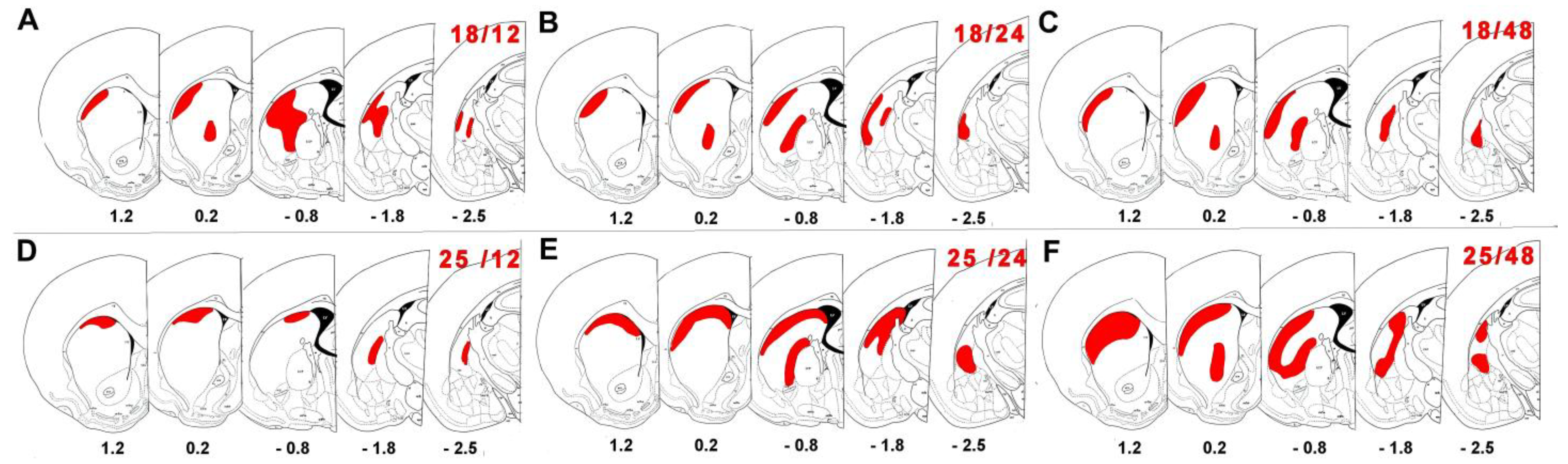 Ijms 26 03349 g004 Ijms 26 03349 g004