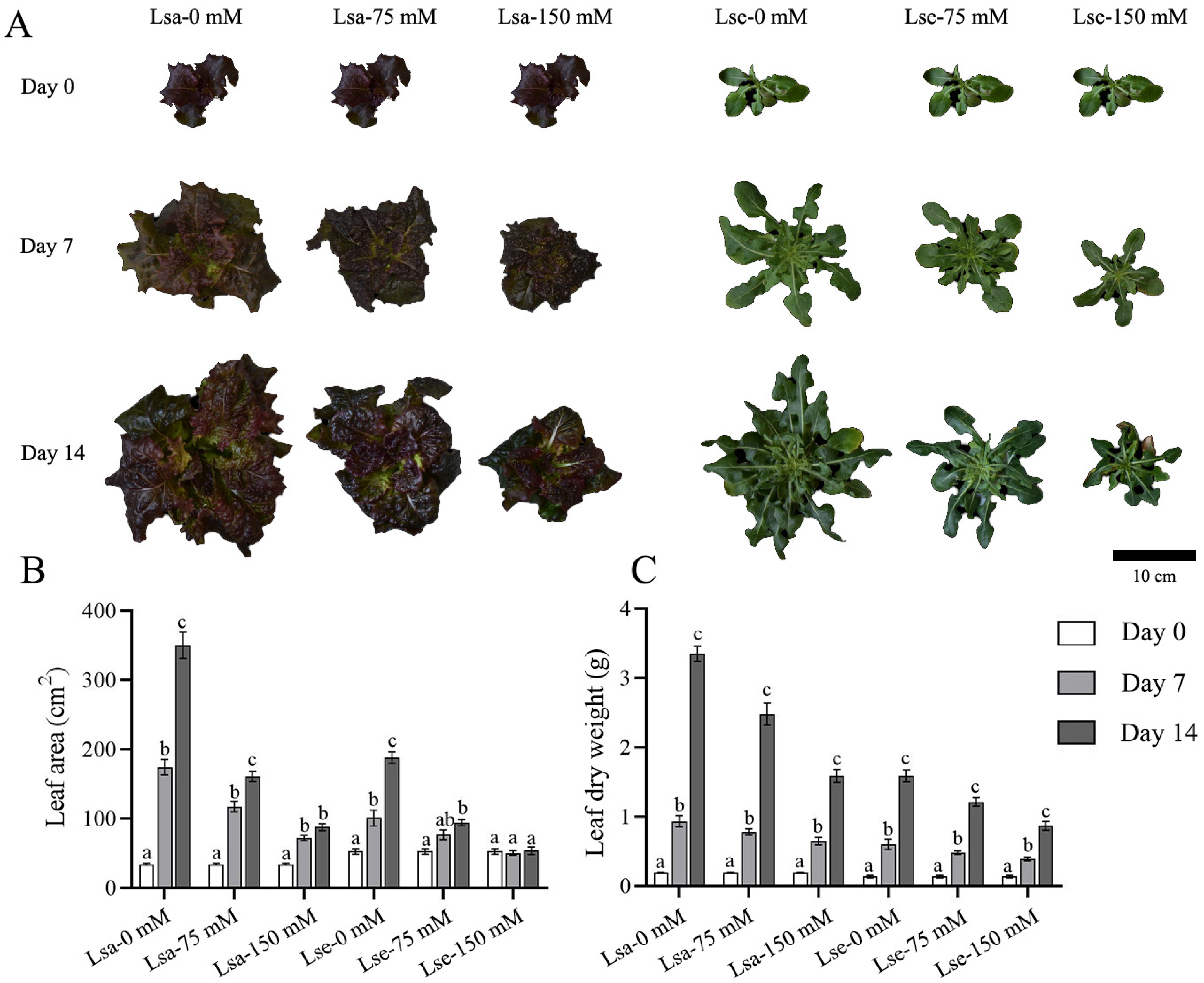 Ijms 26 03425 g001 Ijms 26 03425 g001
