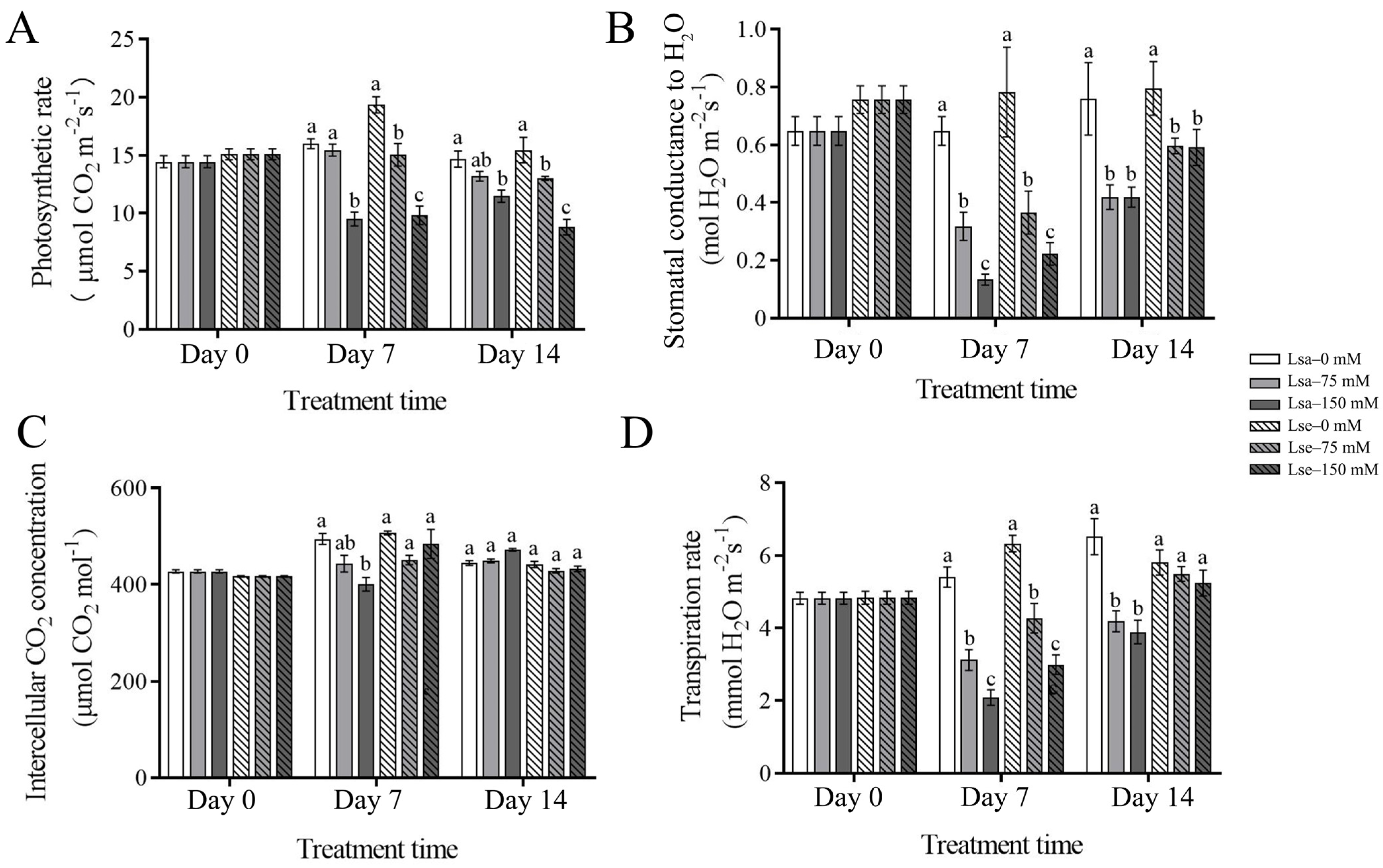 Ijms 26 03425 g003 Ijms 26 03425 g003