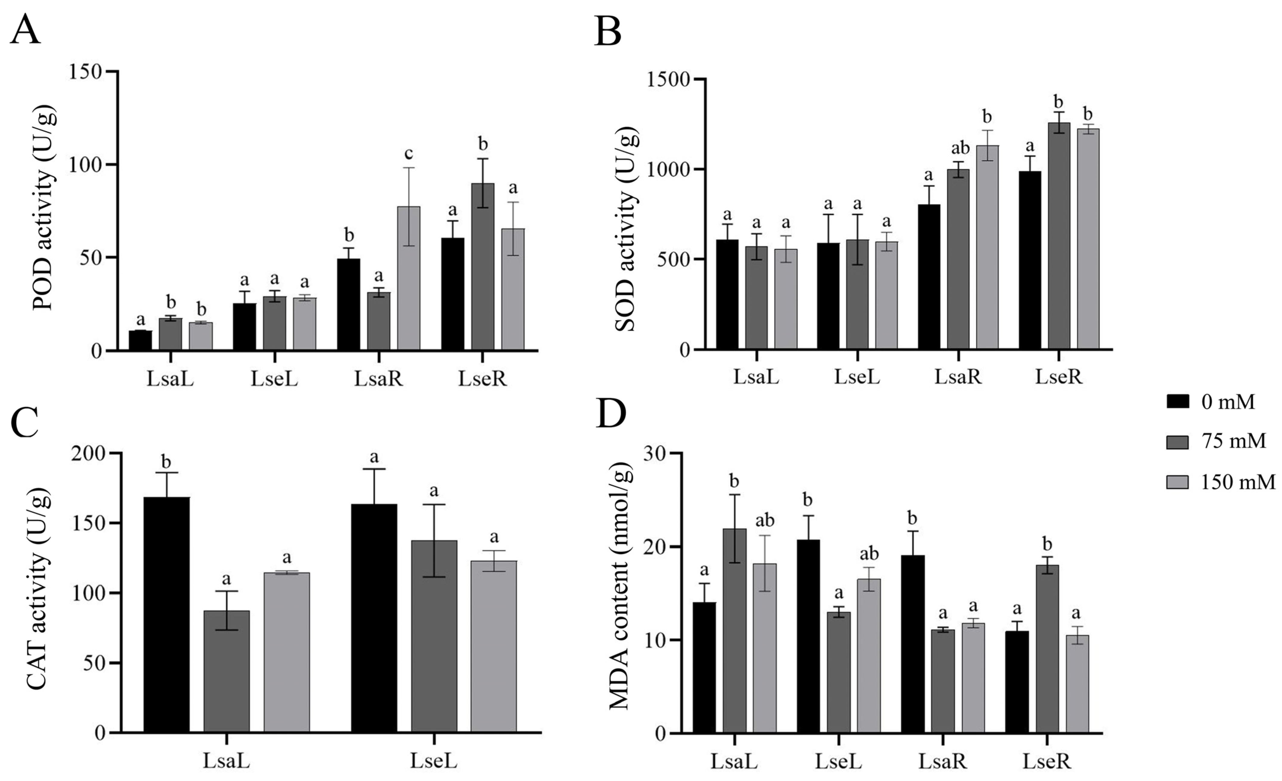 Ijms 26 03425 g004 Ijms 26 03425 g004