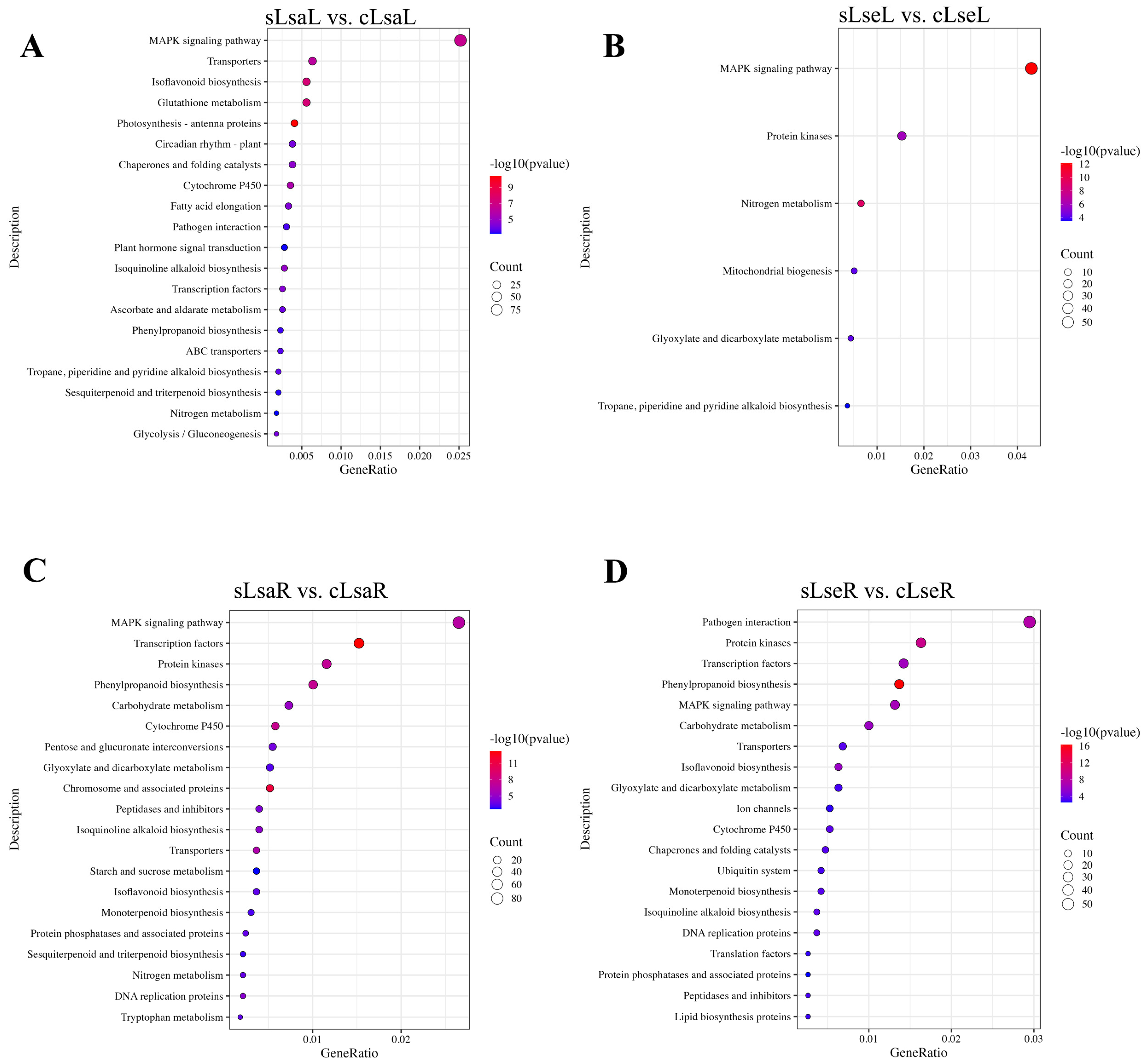 Ijms 26 03425 g007 Ijms 26 03425 g007