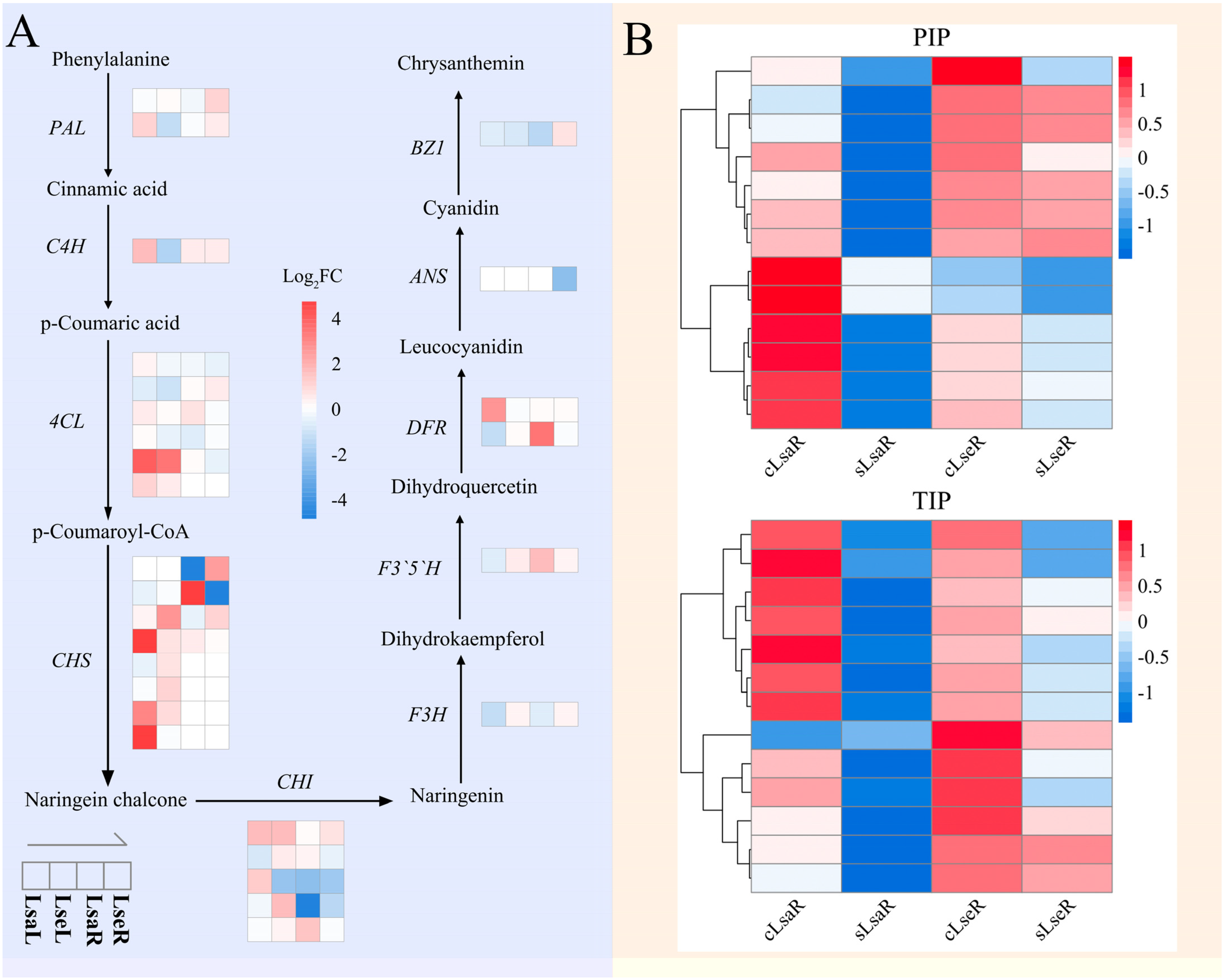 Ijms 26 03425 g008 Ijms 26 03425 g008