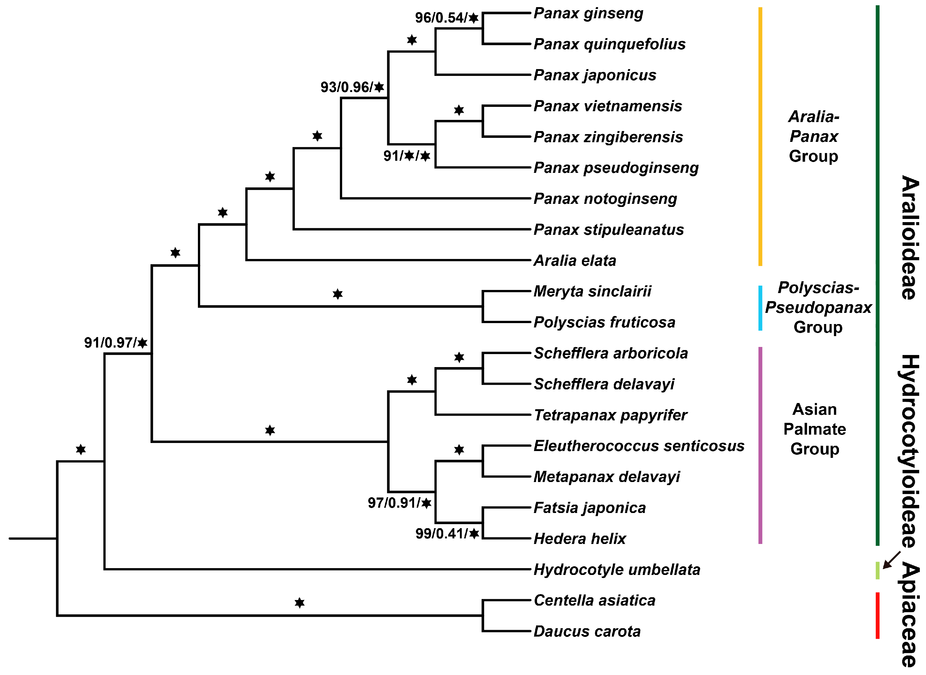 Ijms 26 03439 g001 Ijms 26 03439 g001