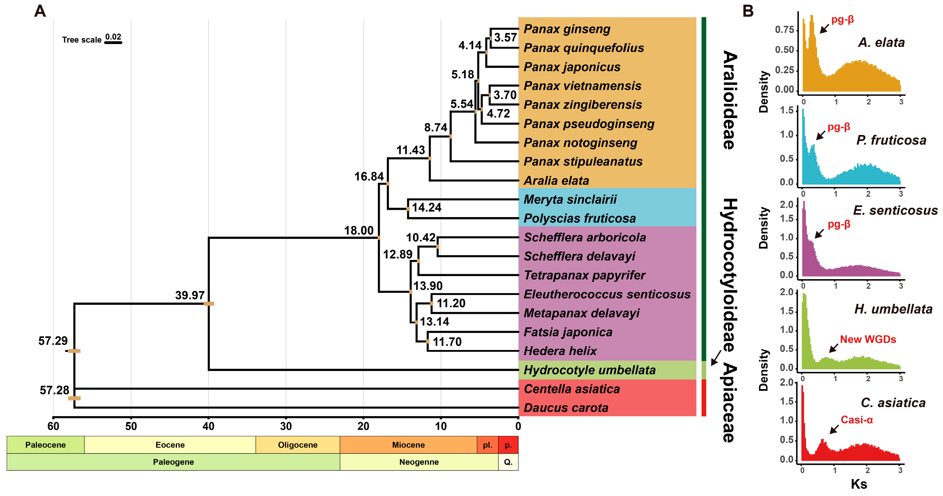 Ijms 26 03439 g003 Ijms 26 03439 g003