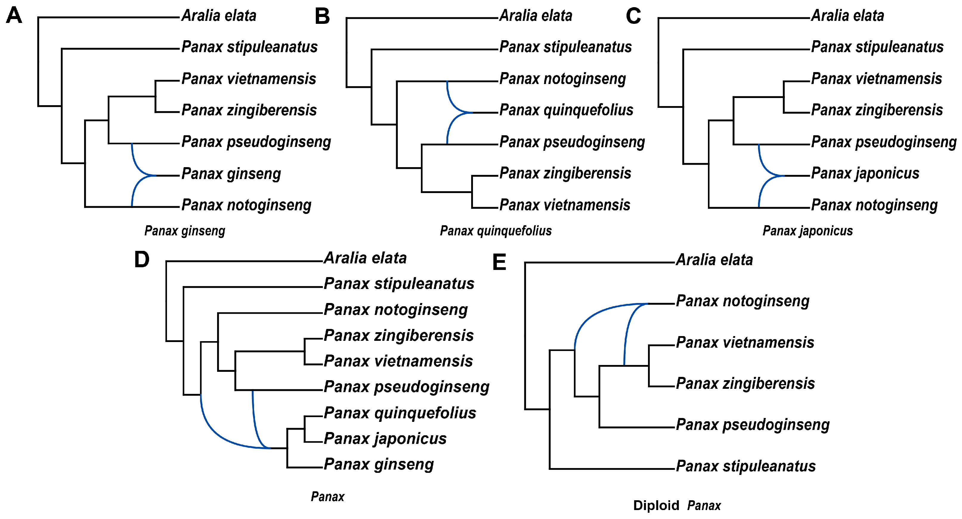 Ijms 26 03439 g004 Ijms 26 03439 g004