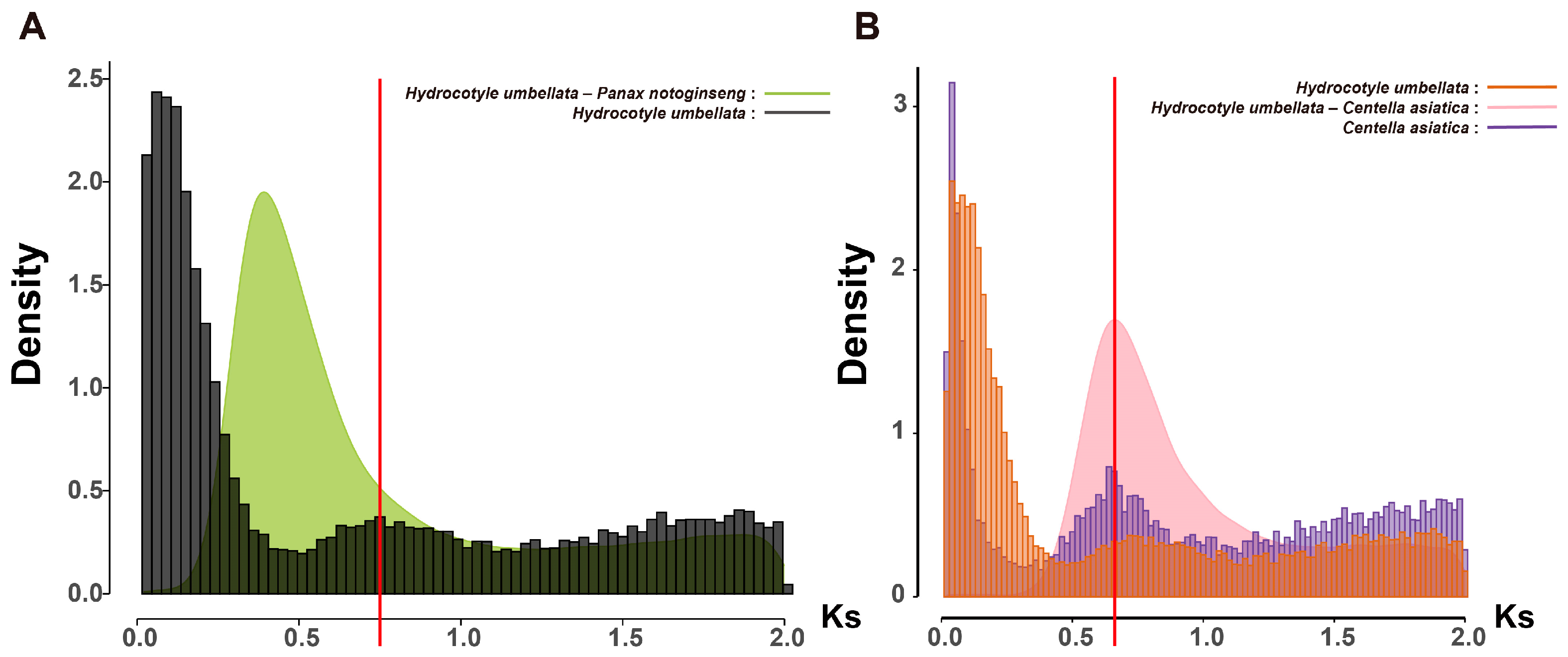 Ijms 26 03439 g006 Ijms 26 03439 g006