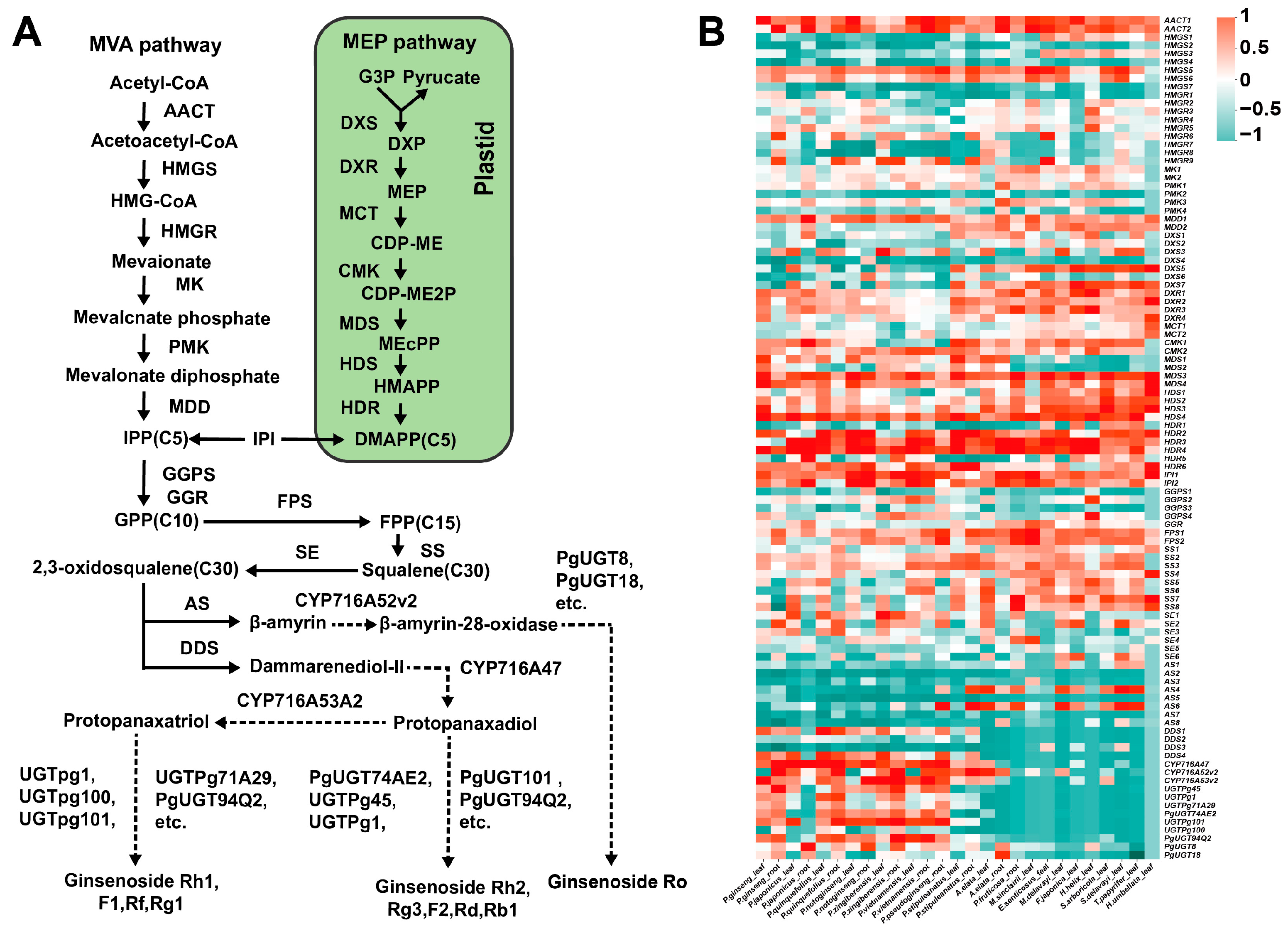 Ijms 26 03439 g007 Ijms 26 03439 g007