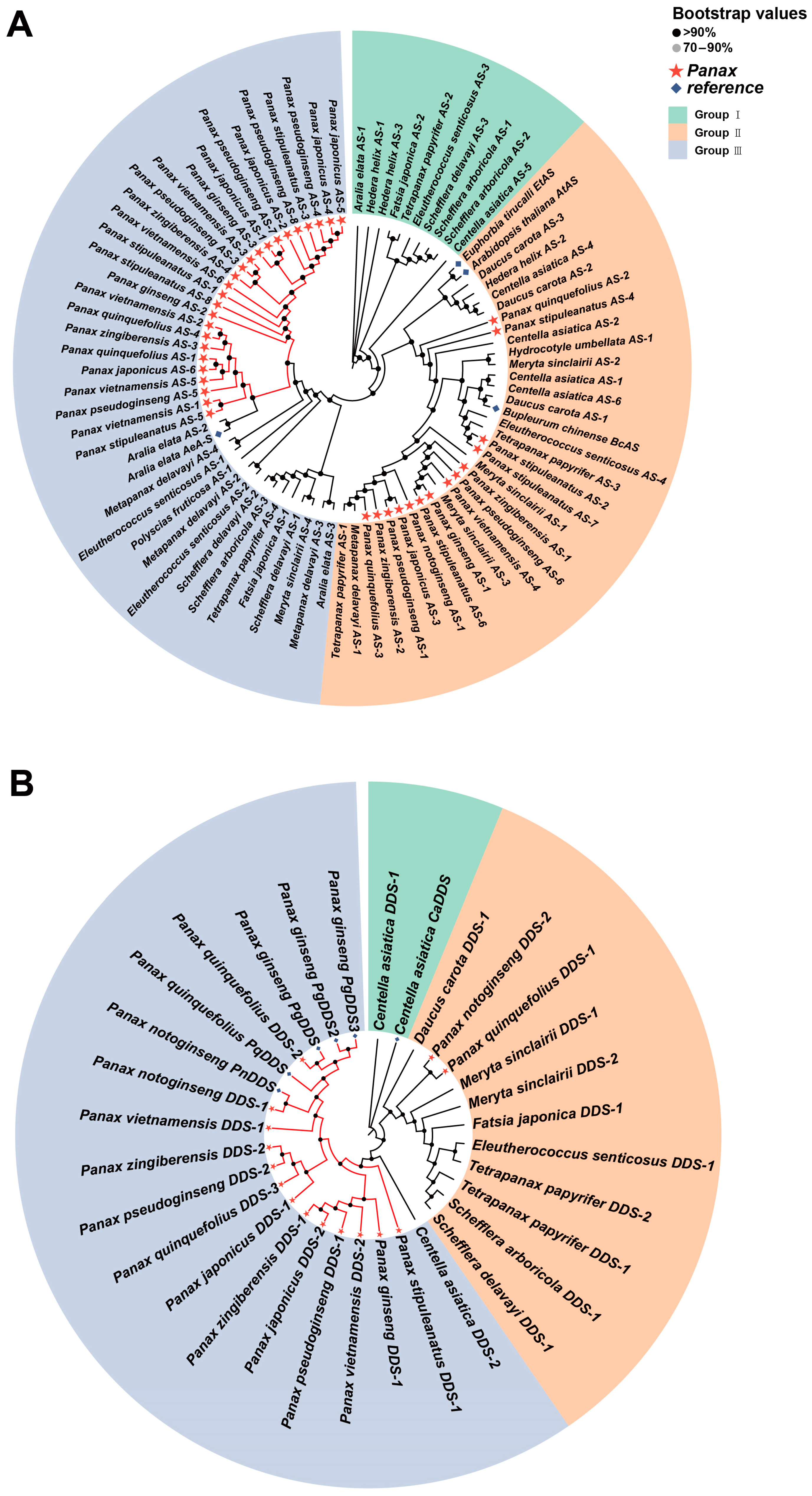 Ijms 26 03439 g008 Ijms 26 03439 g008