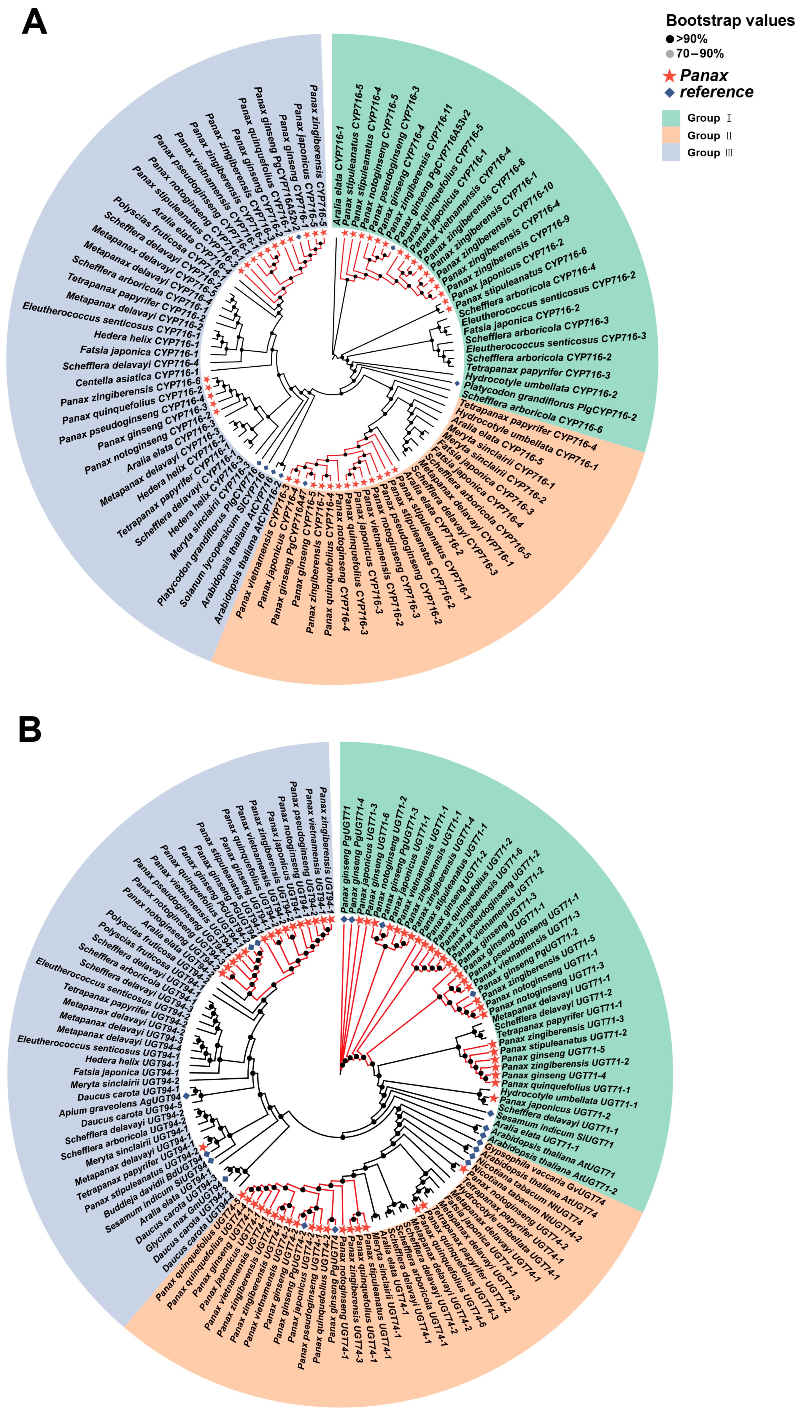 Ijms 26 03439 g009 Ijms 26 03439 g009