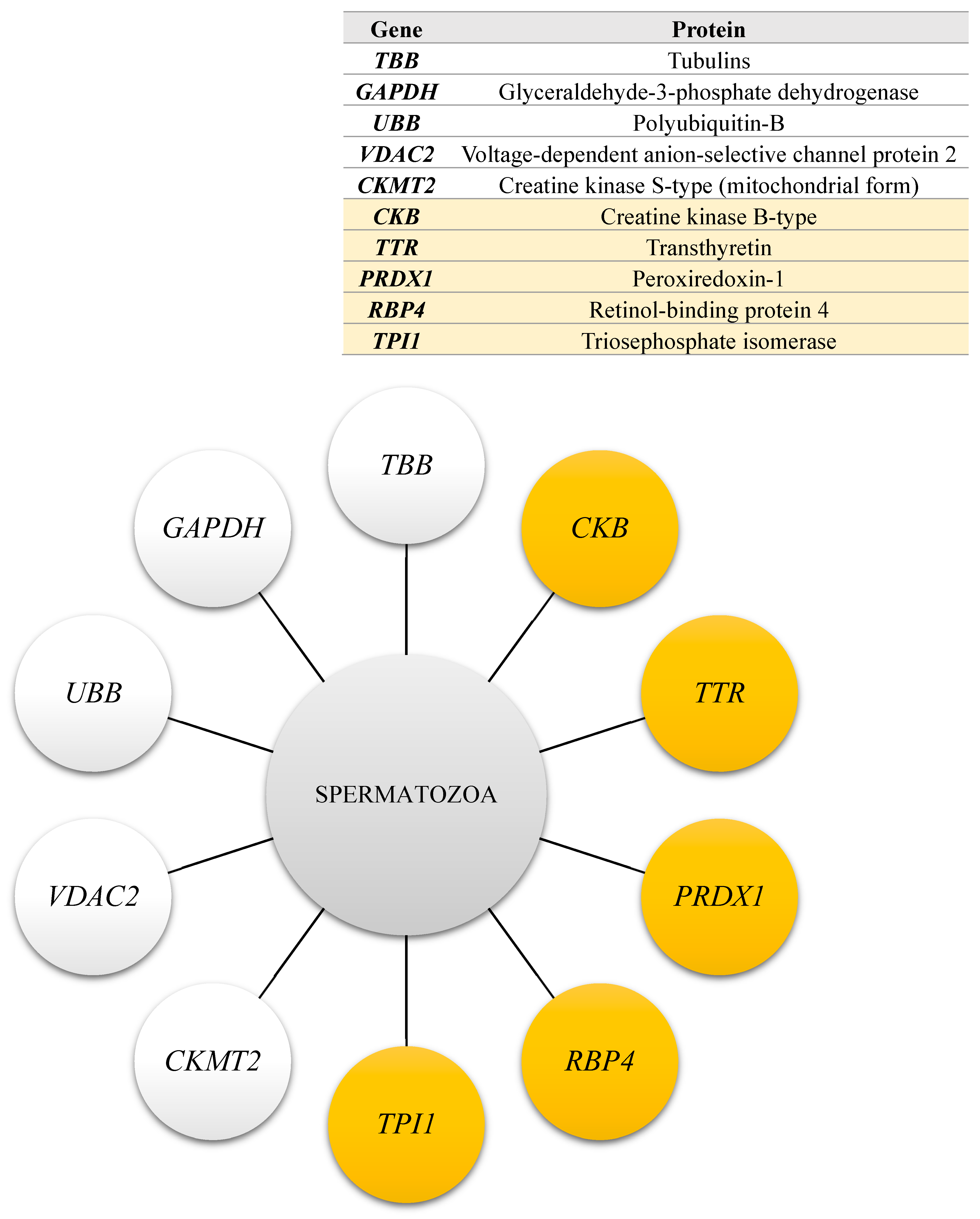 Ijms 26 03467 g003 Ijms 26 03467 g003