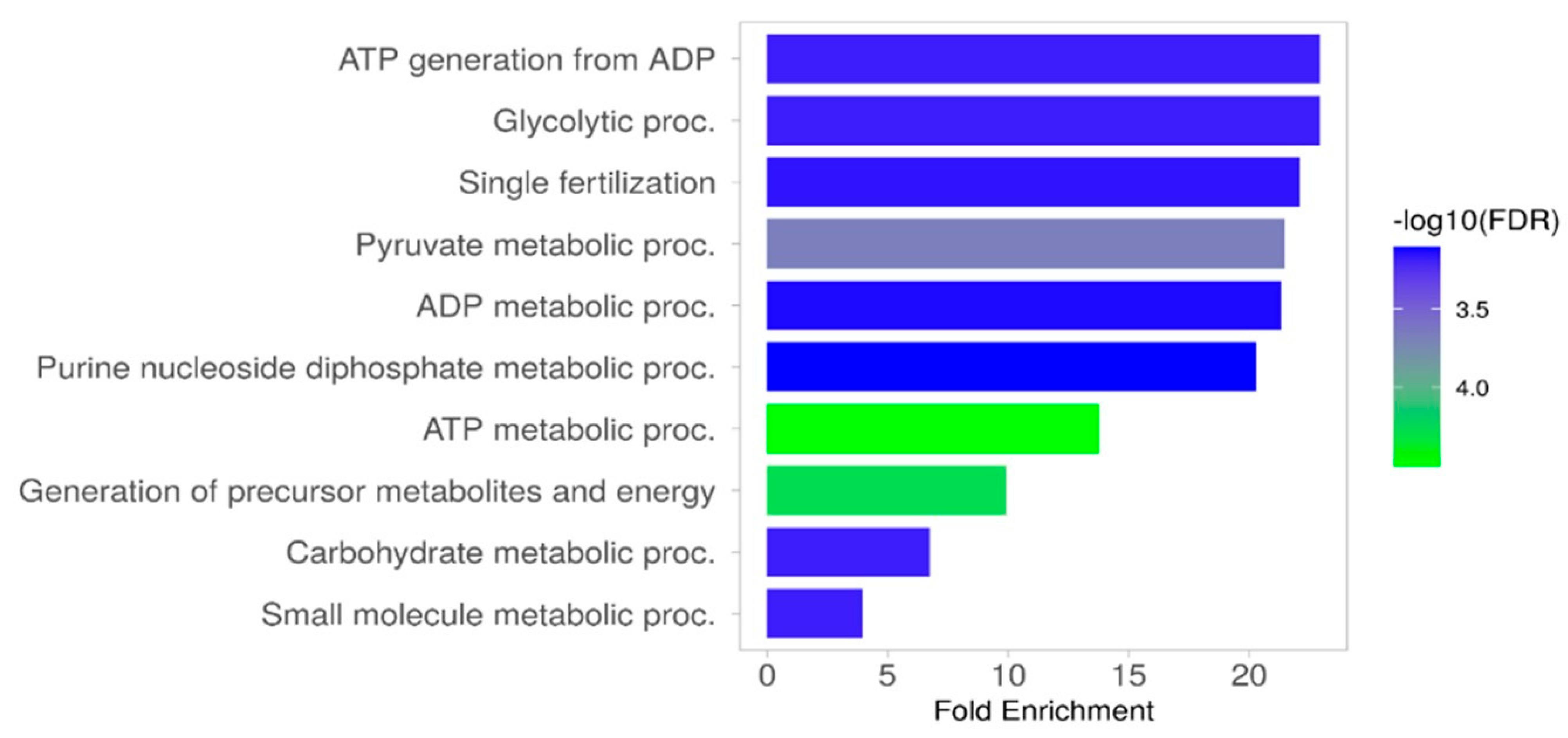 Ijms 26 03467 g004 Ijms 26 03467 g004