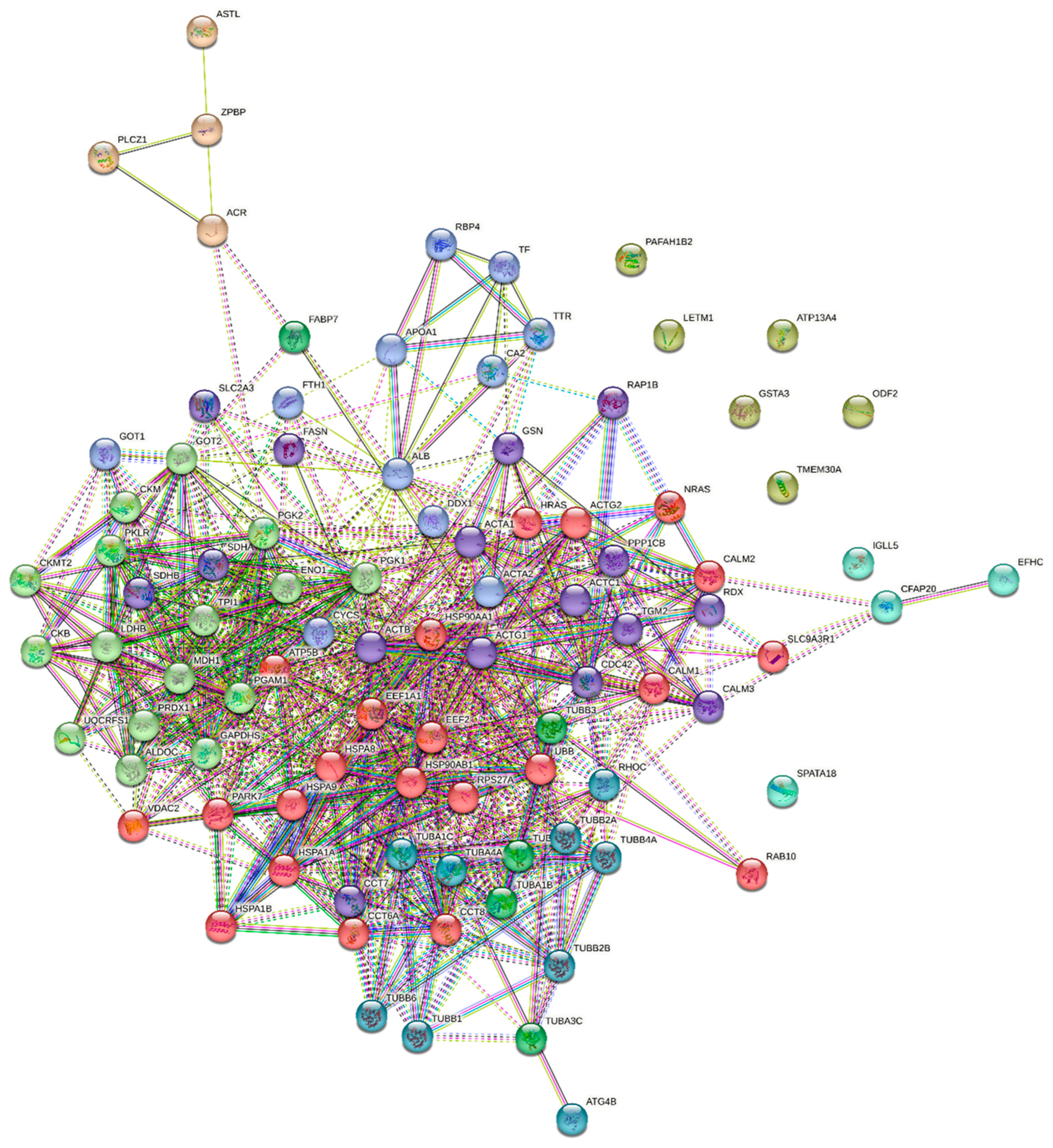 Ijms 26 03467 g005 Ijms 26 03467 g005