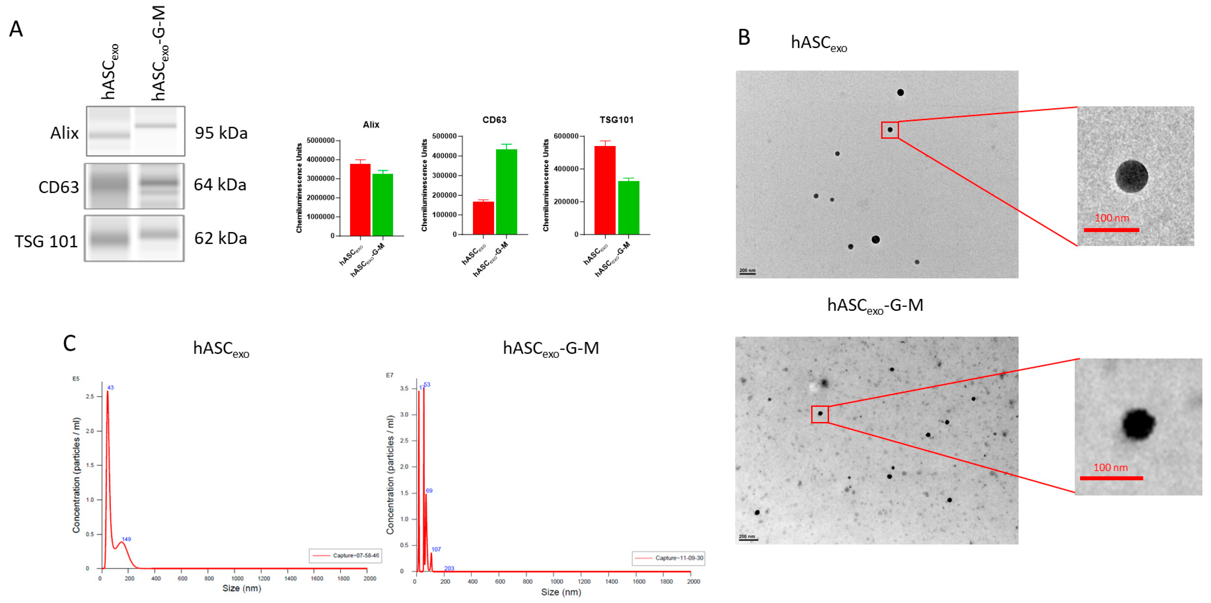 Ijms 26 03479 g001 Ijms 26 03479 g001
