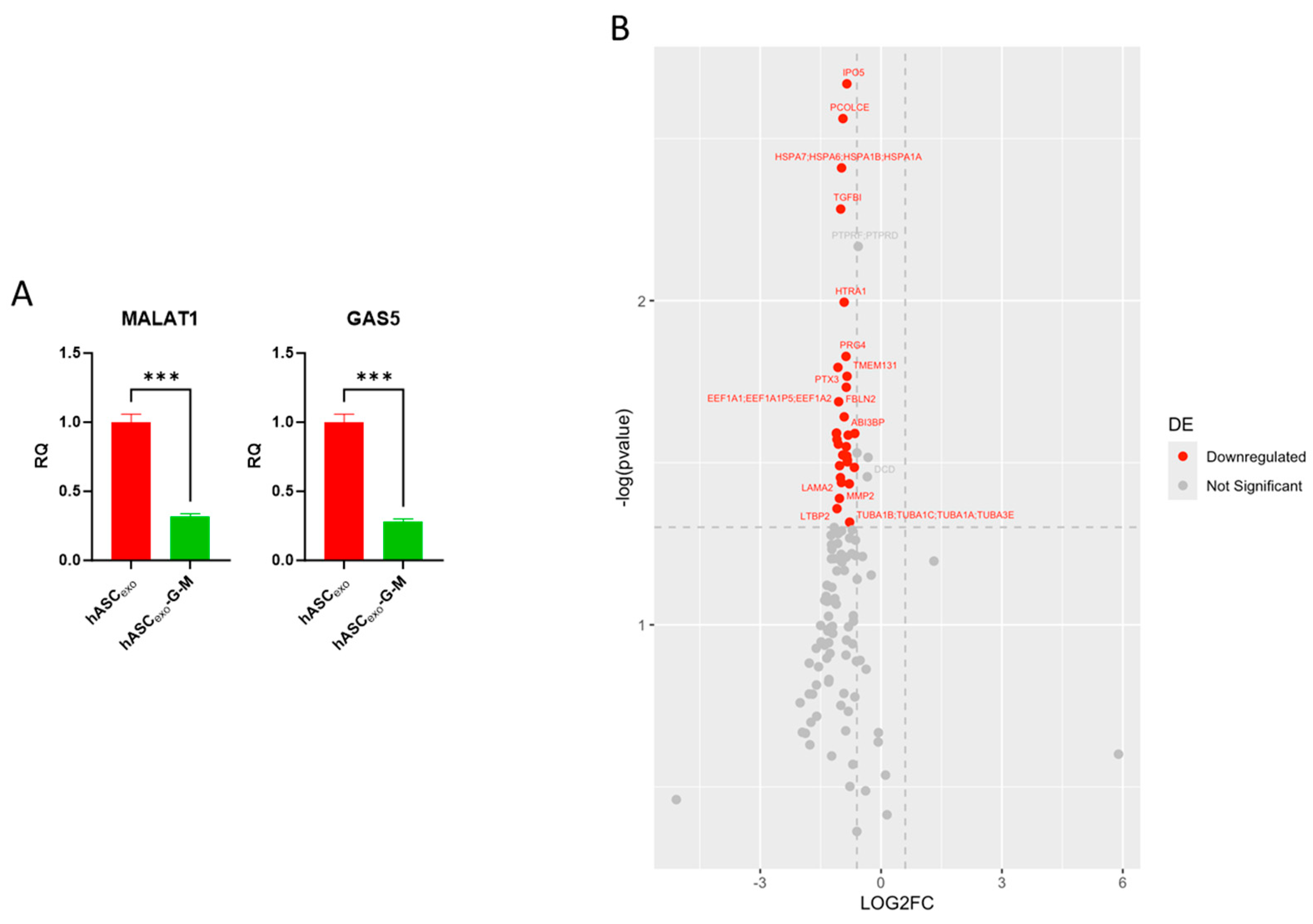 Ijms 26 03479 g002 Ijms 26 03479 g002