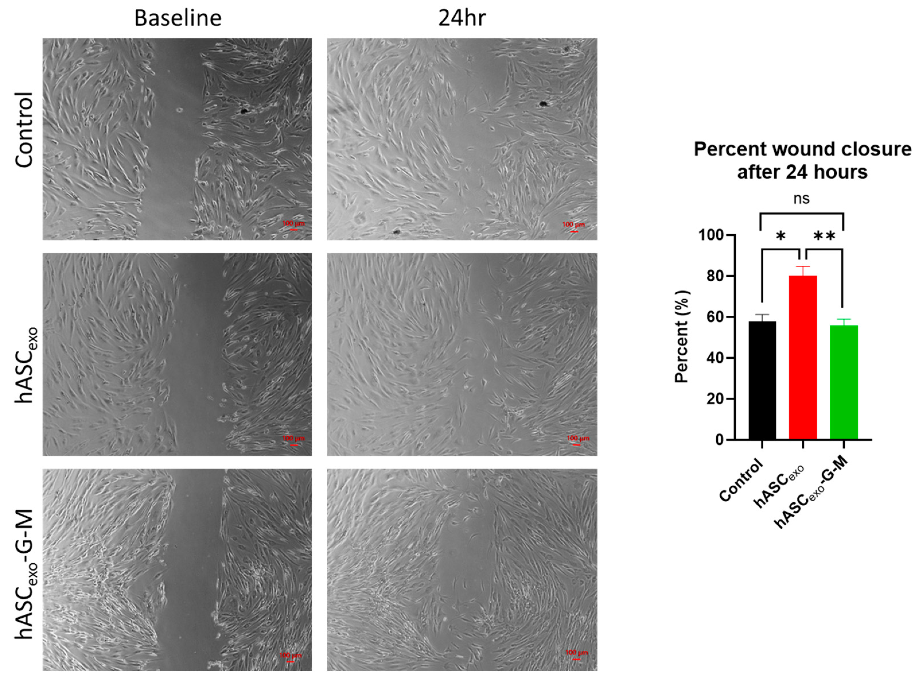 Ijms 26 03479 g003 Ijms 26 03479 g003