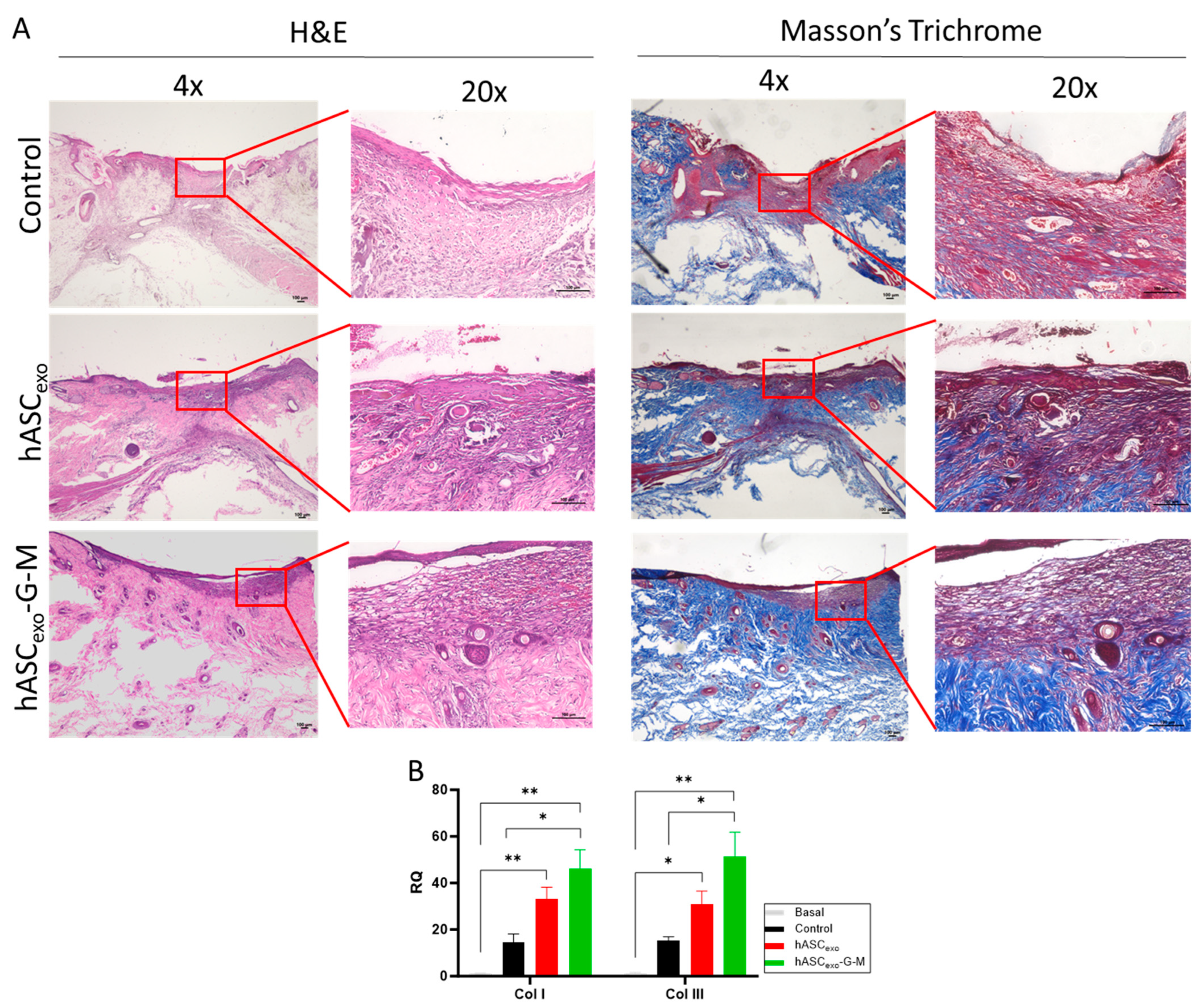 Ijms 26 03479 g005 Ijms 26 03479 g005