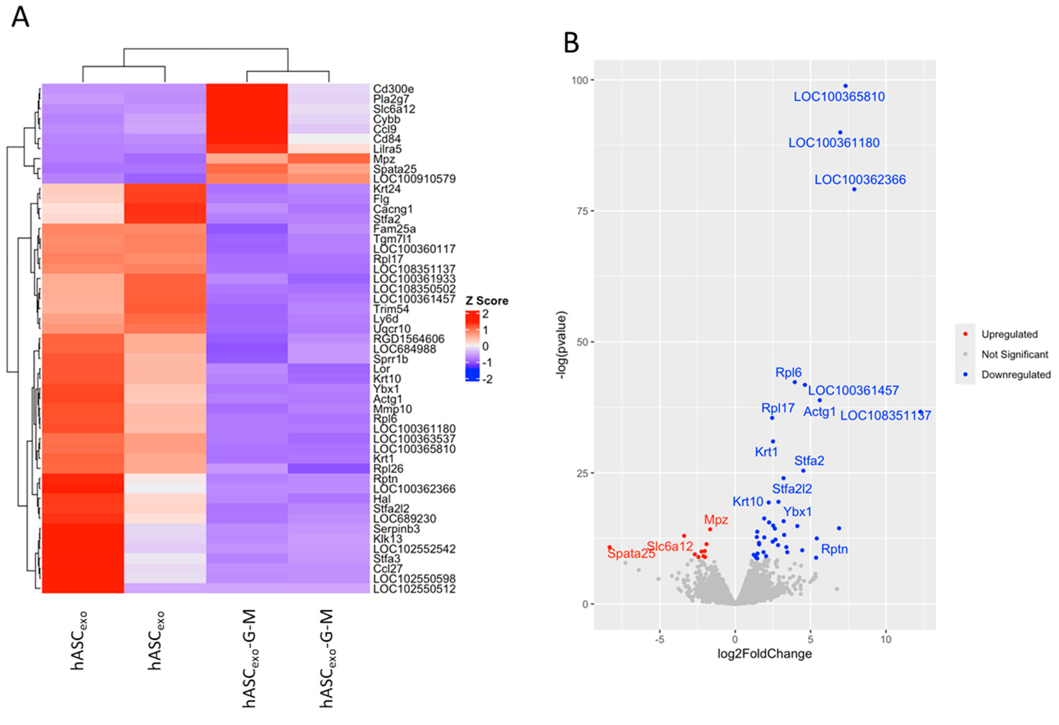 Ijms 26 03479 g006a Ijms 26 03479 g006a
