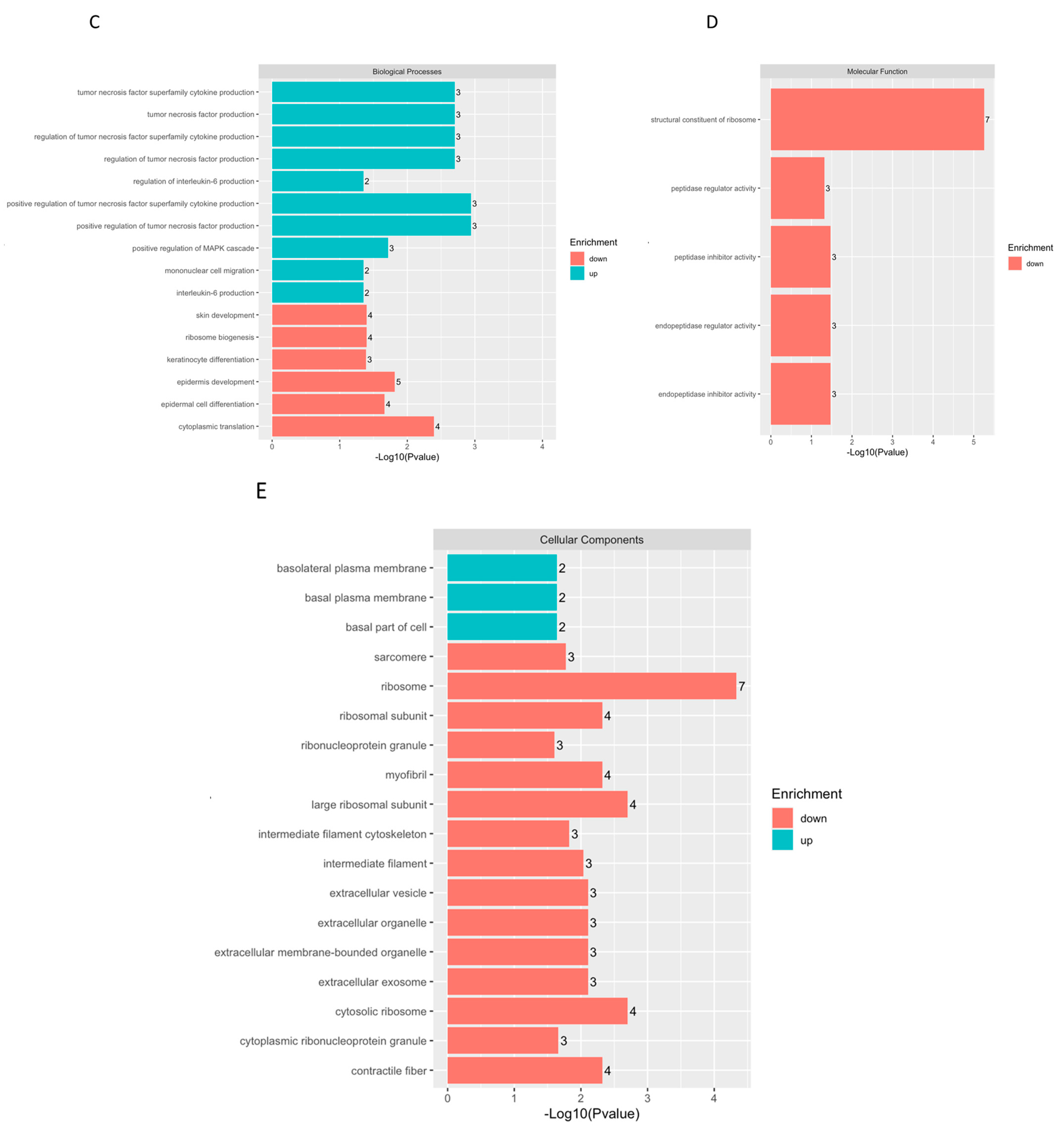 Ijms 26 03479 g006b Ijms 26 03479 g006b