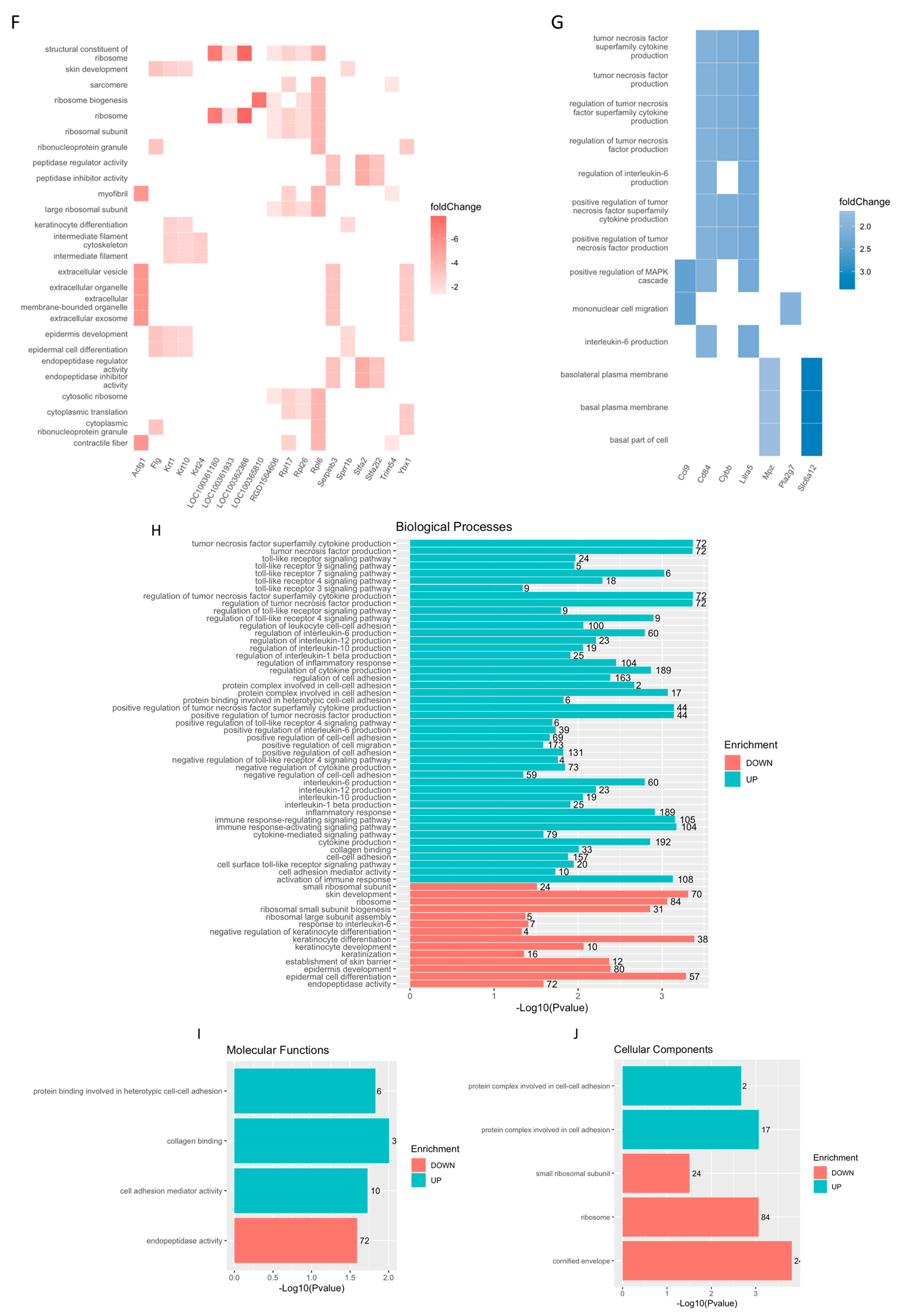 Ijms 26 03479 g006c Ijms 26 03479 g006c