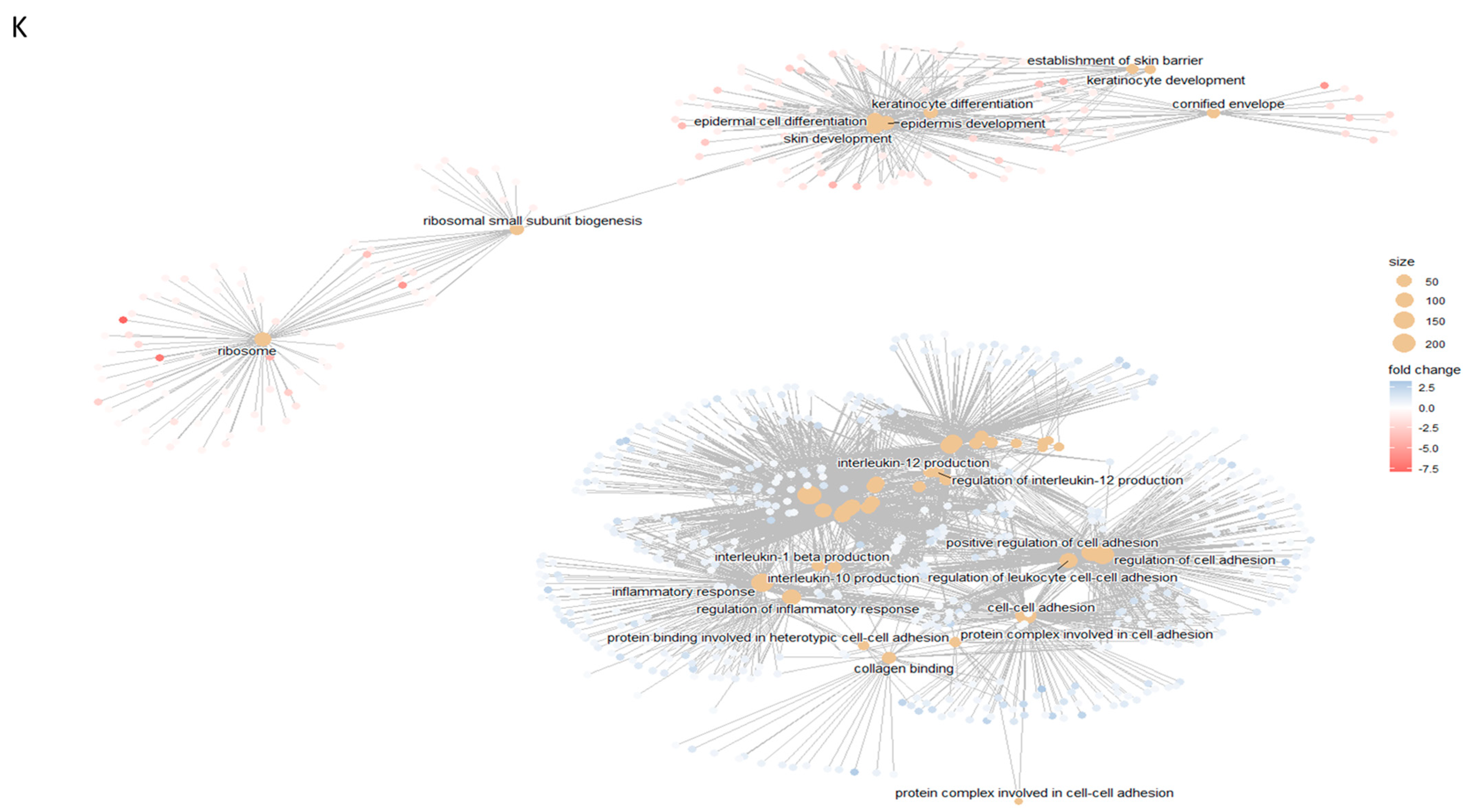 Ijms 26 03479 g006d Ijms 26 03479 g006d