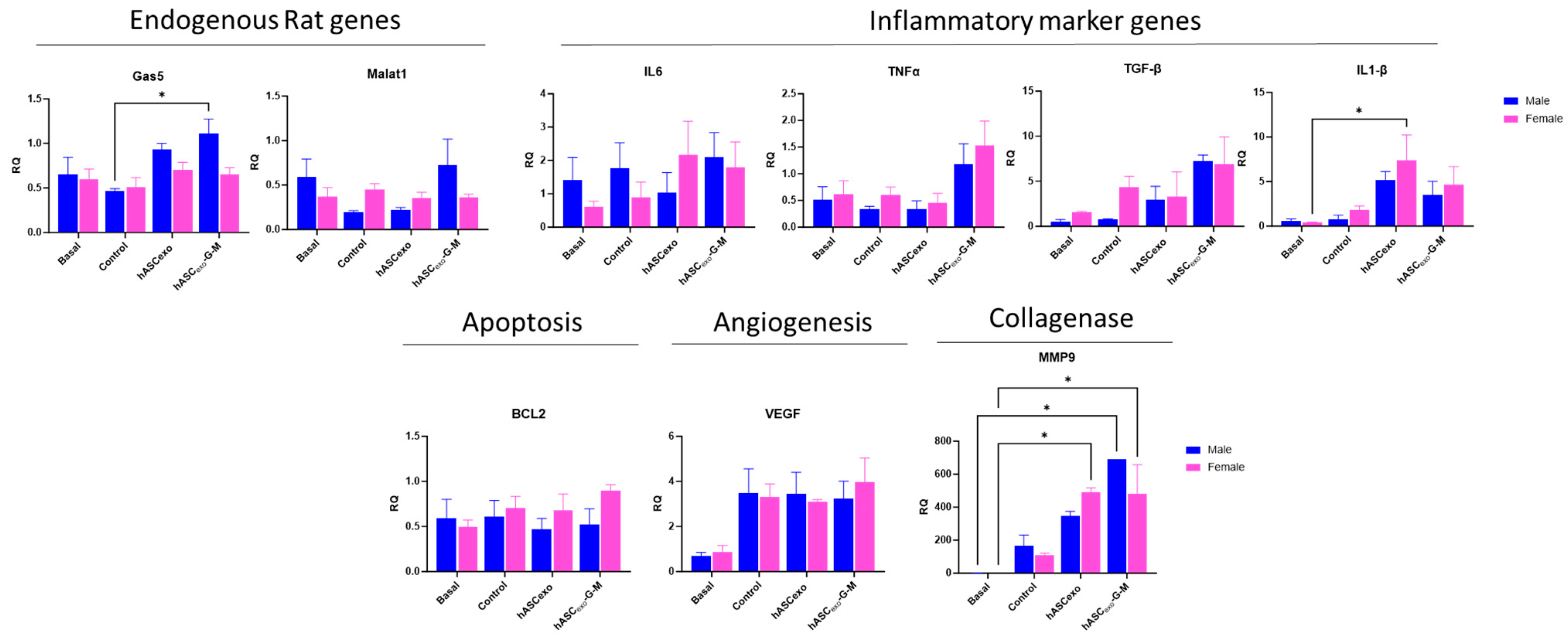 Ijms 26 03479 g008 Ijms 26 03479 g008