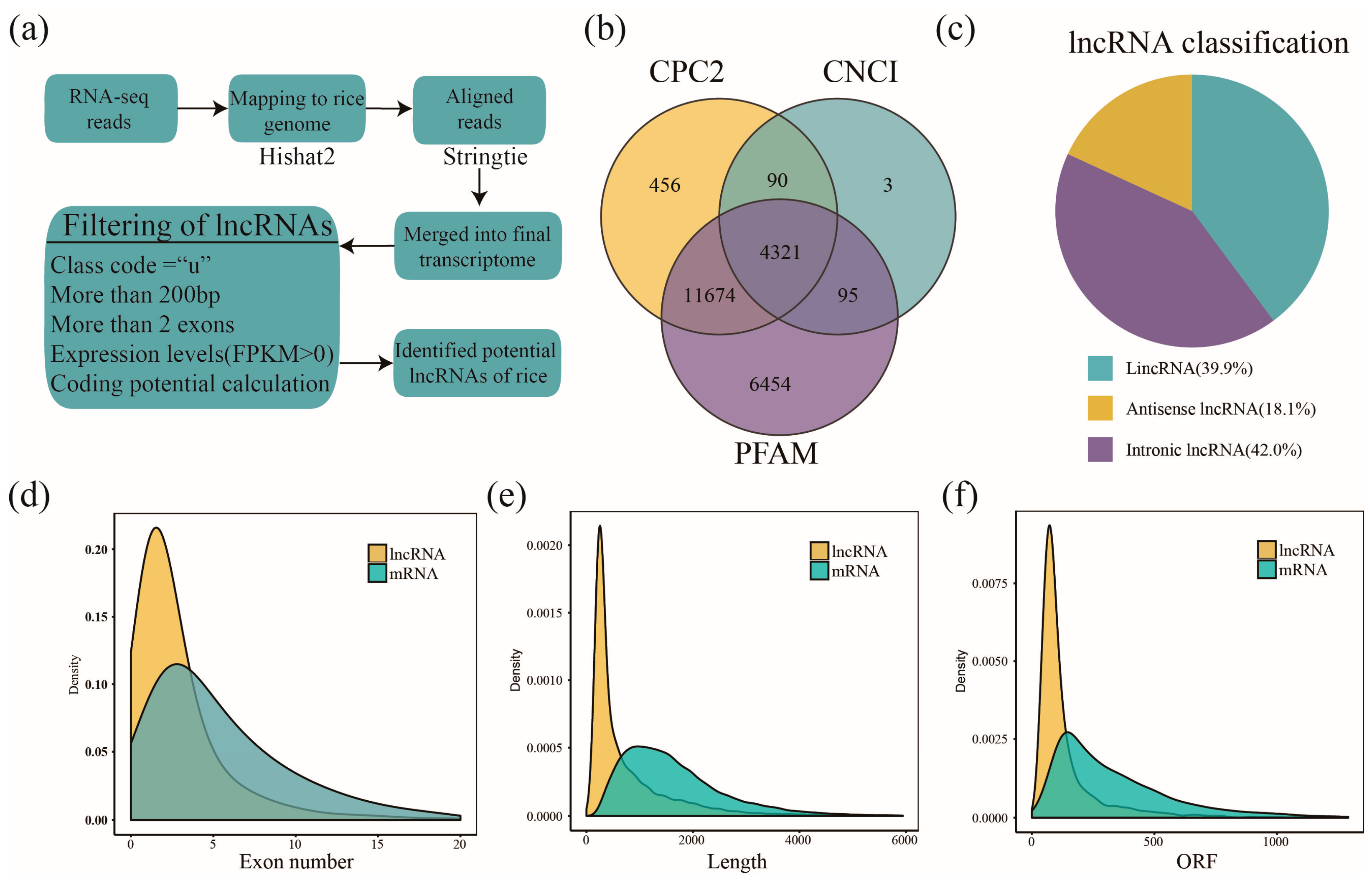 Ijms 26 03486 g001 Ijms 26 03486 g001