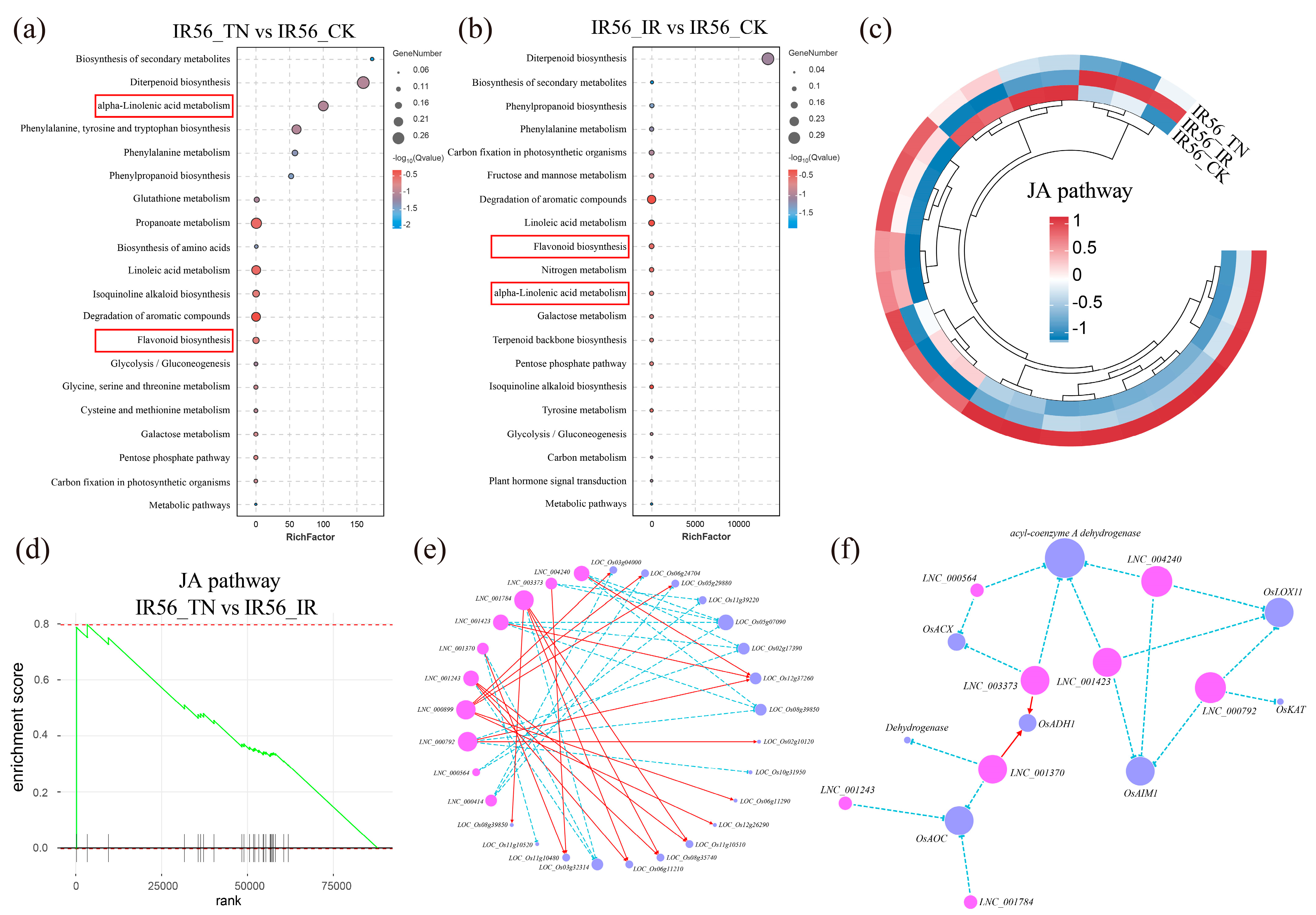 Ijms 26 03486 g003 Ijms 26 03486 g003