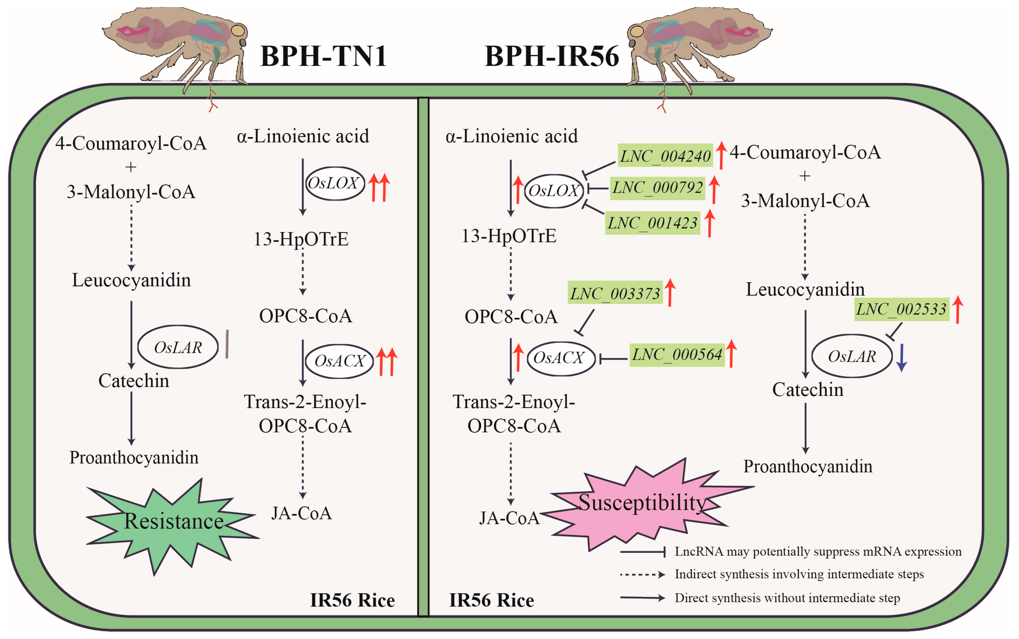 Ijms 26 03486 g005 Ijms 26 03486 g005