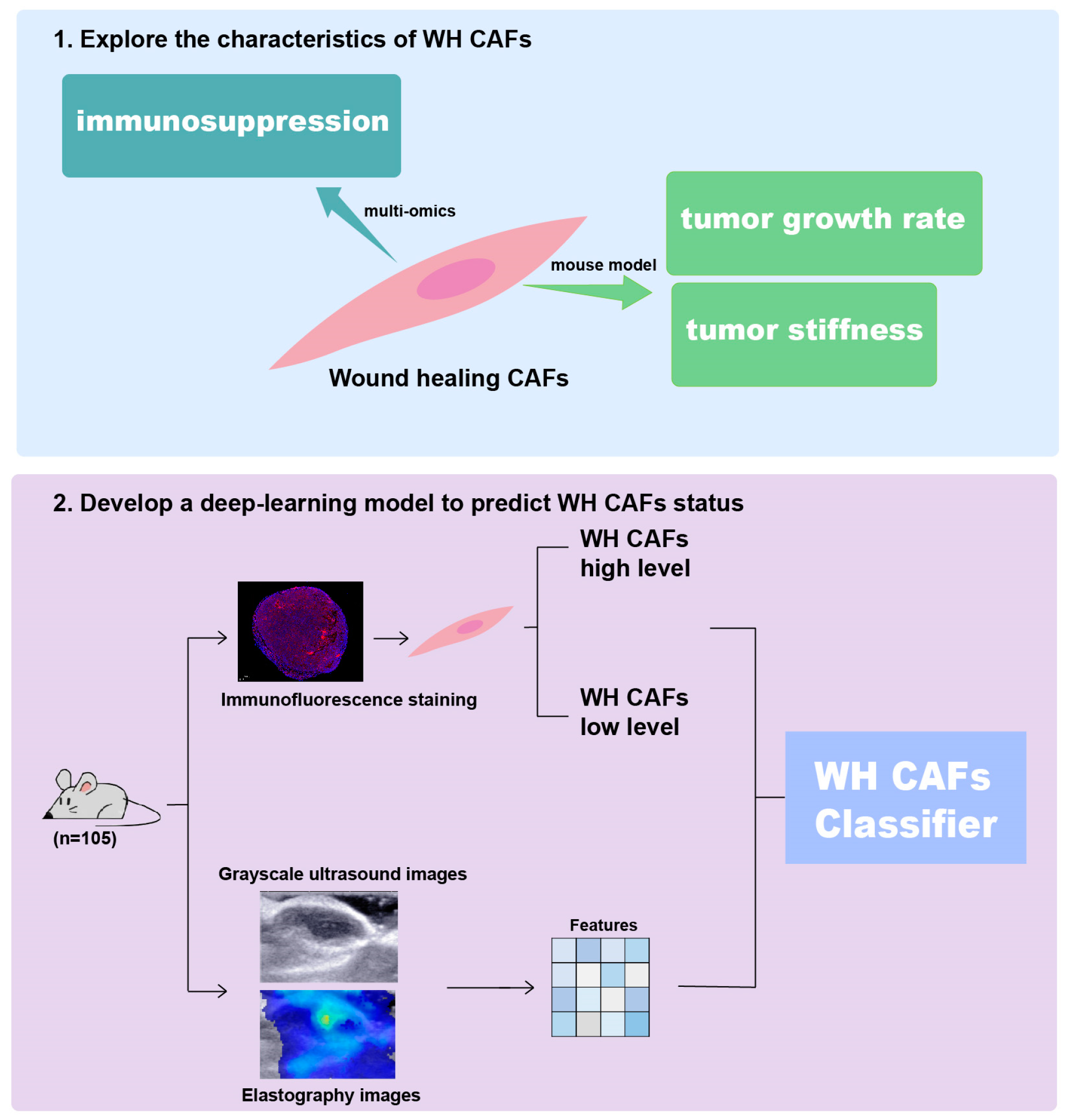 Ijms 26 03525 sch001a