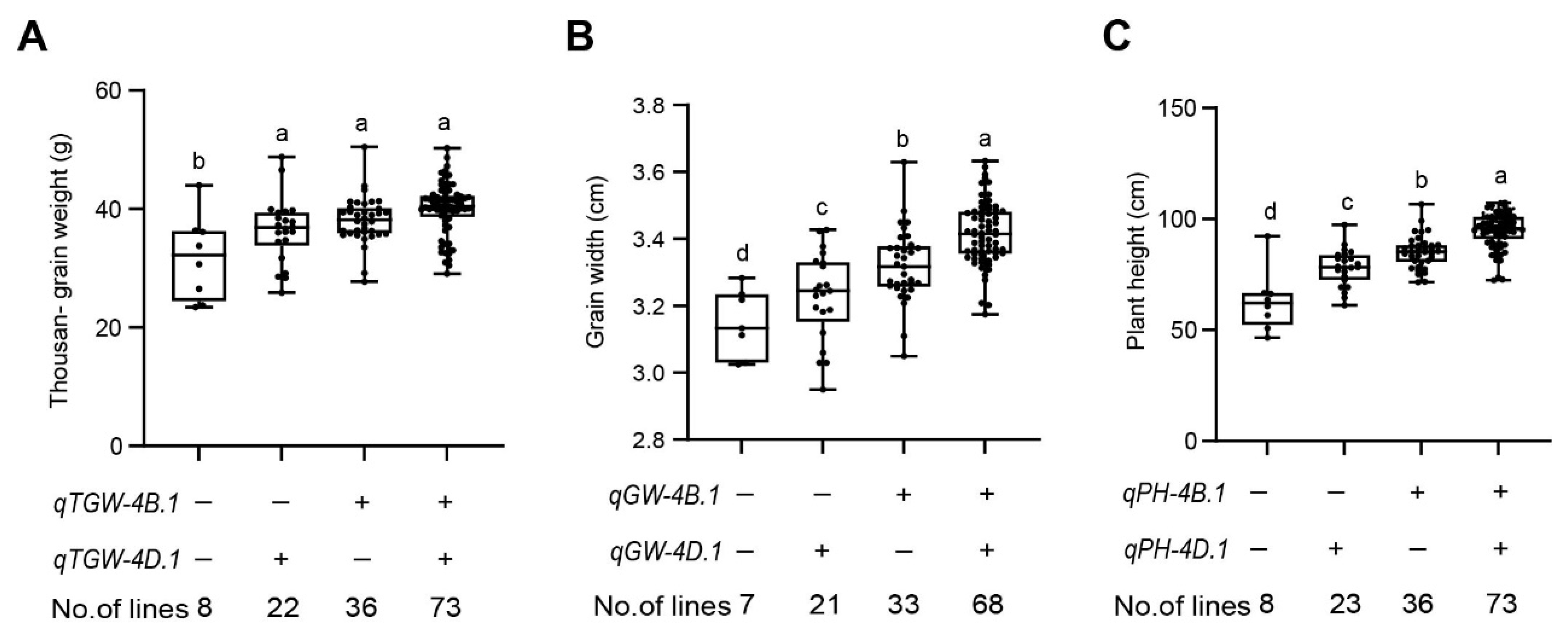 Ijms 26 03526 g004 Ijms 26 03526 g004