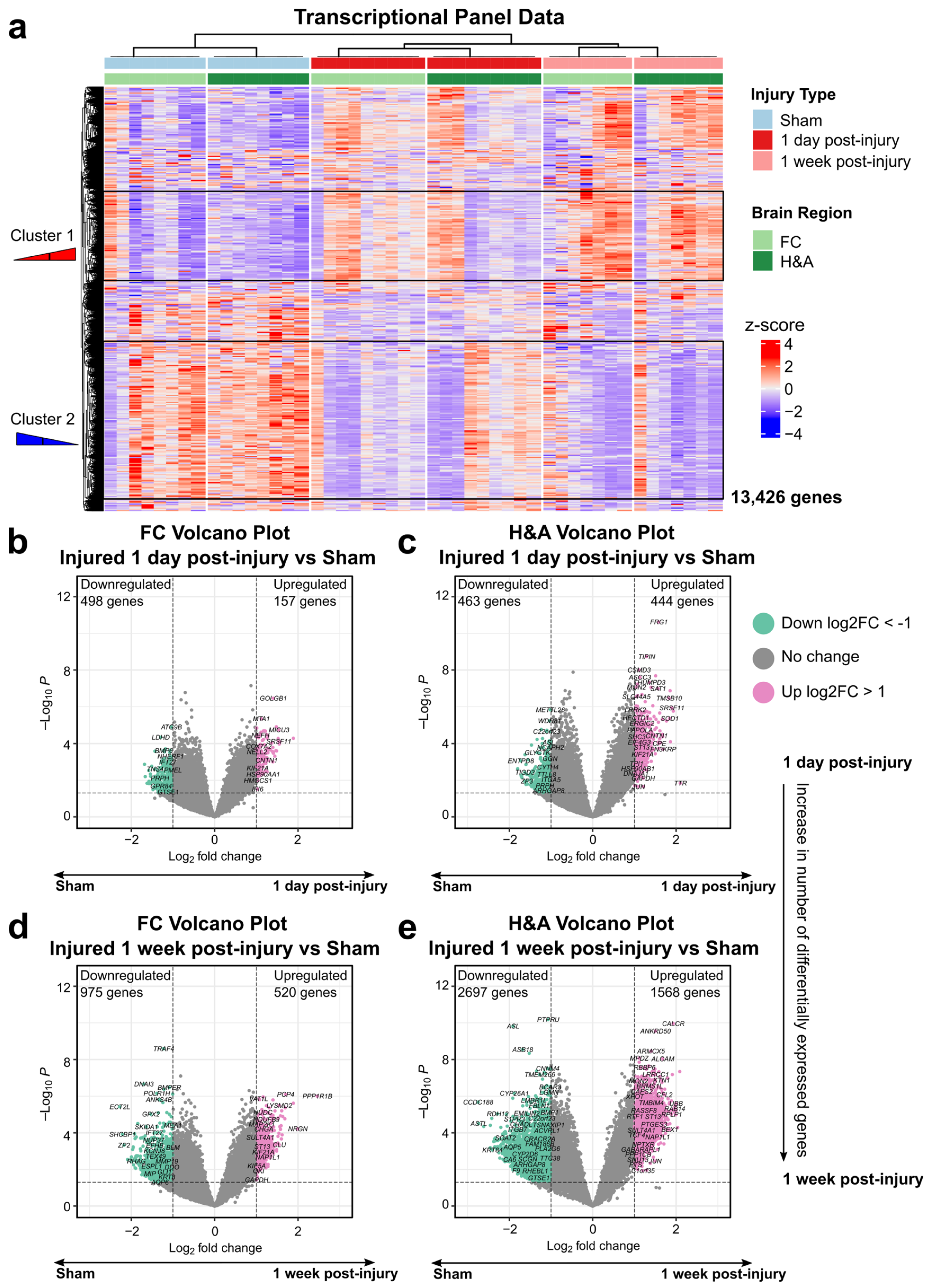 Ijms 26 03531 g001 Ijms 26 03531 g001