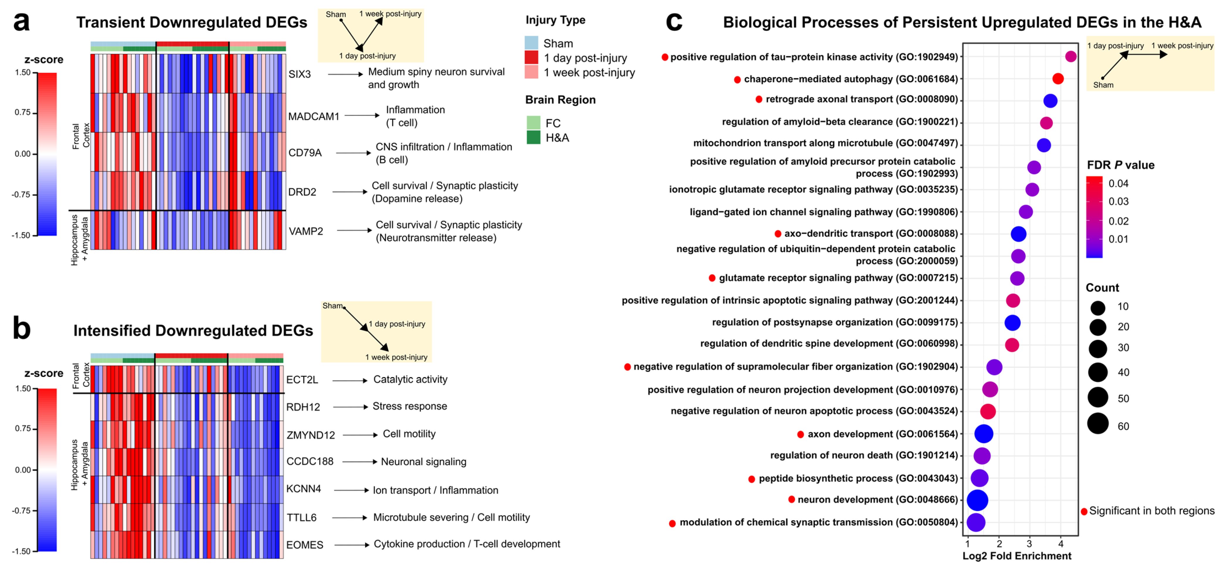 Ijms 26 03531 g003 Ijms 26 03531 g003