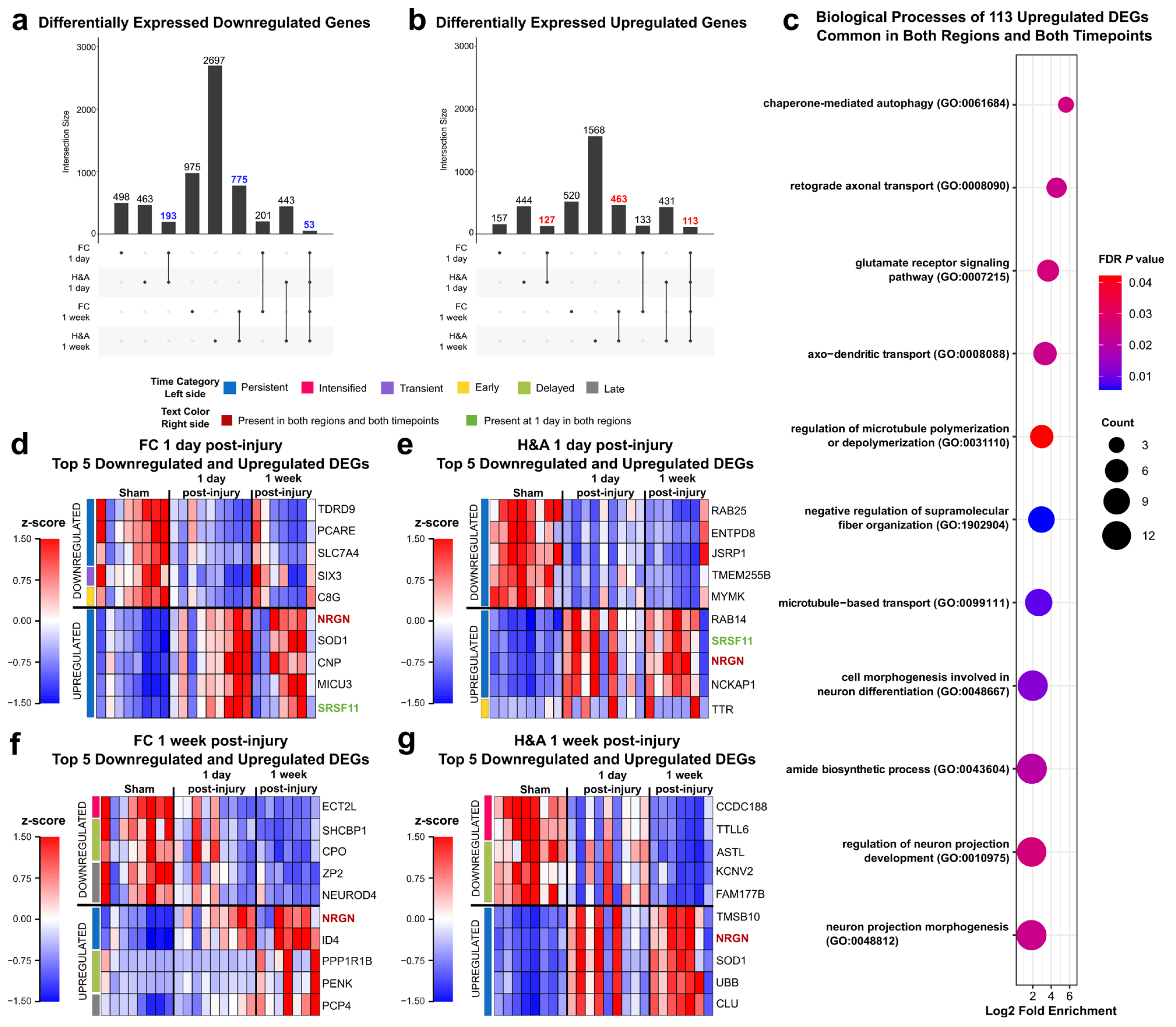 Ijms 26 03531 g005 Ijms 26 03531 g005