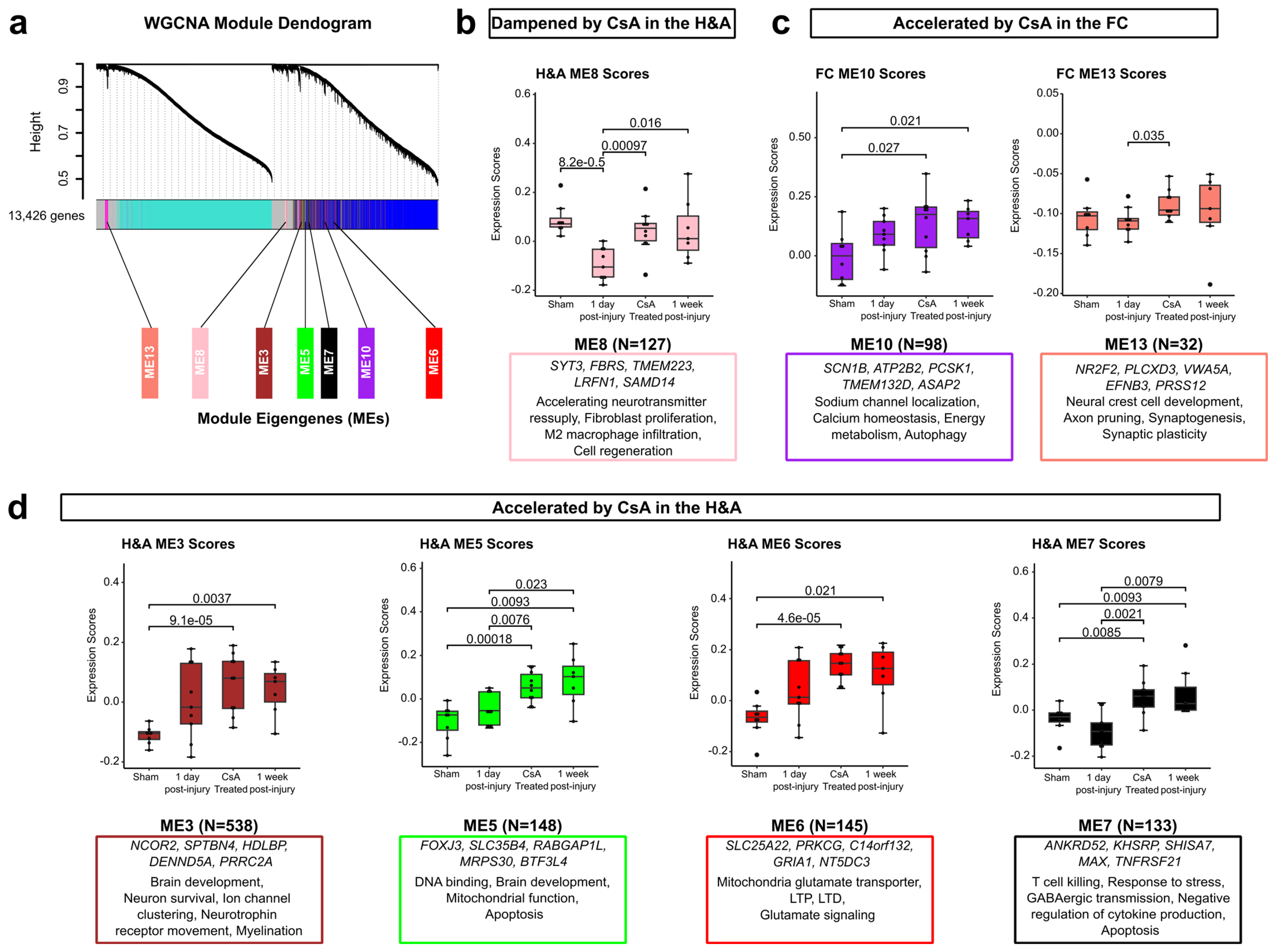 Ijms 26 03531 g007 Ijms 26 03531 g007