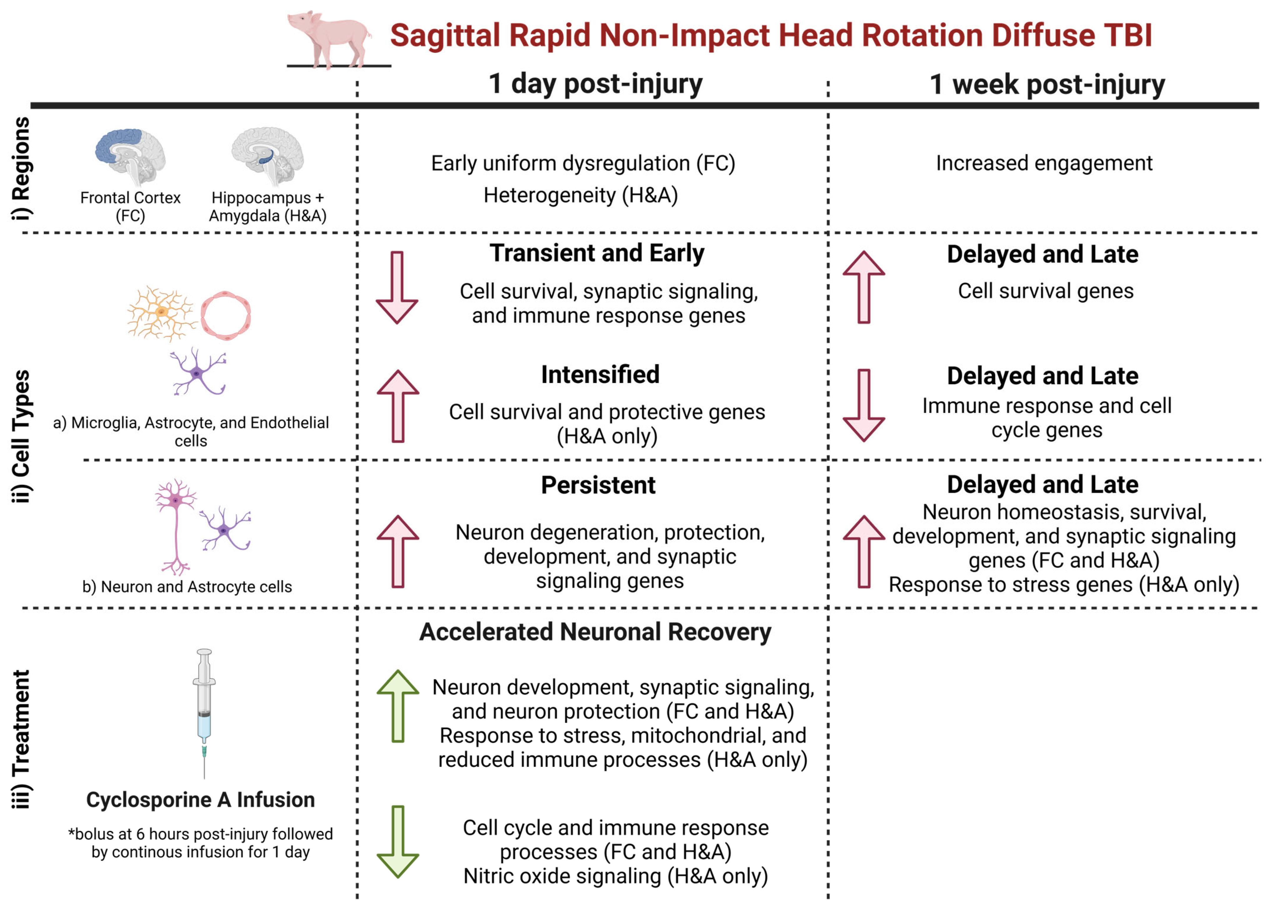 Ijms 26 03531 g008 Ijms 26 03531 g008