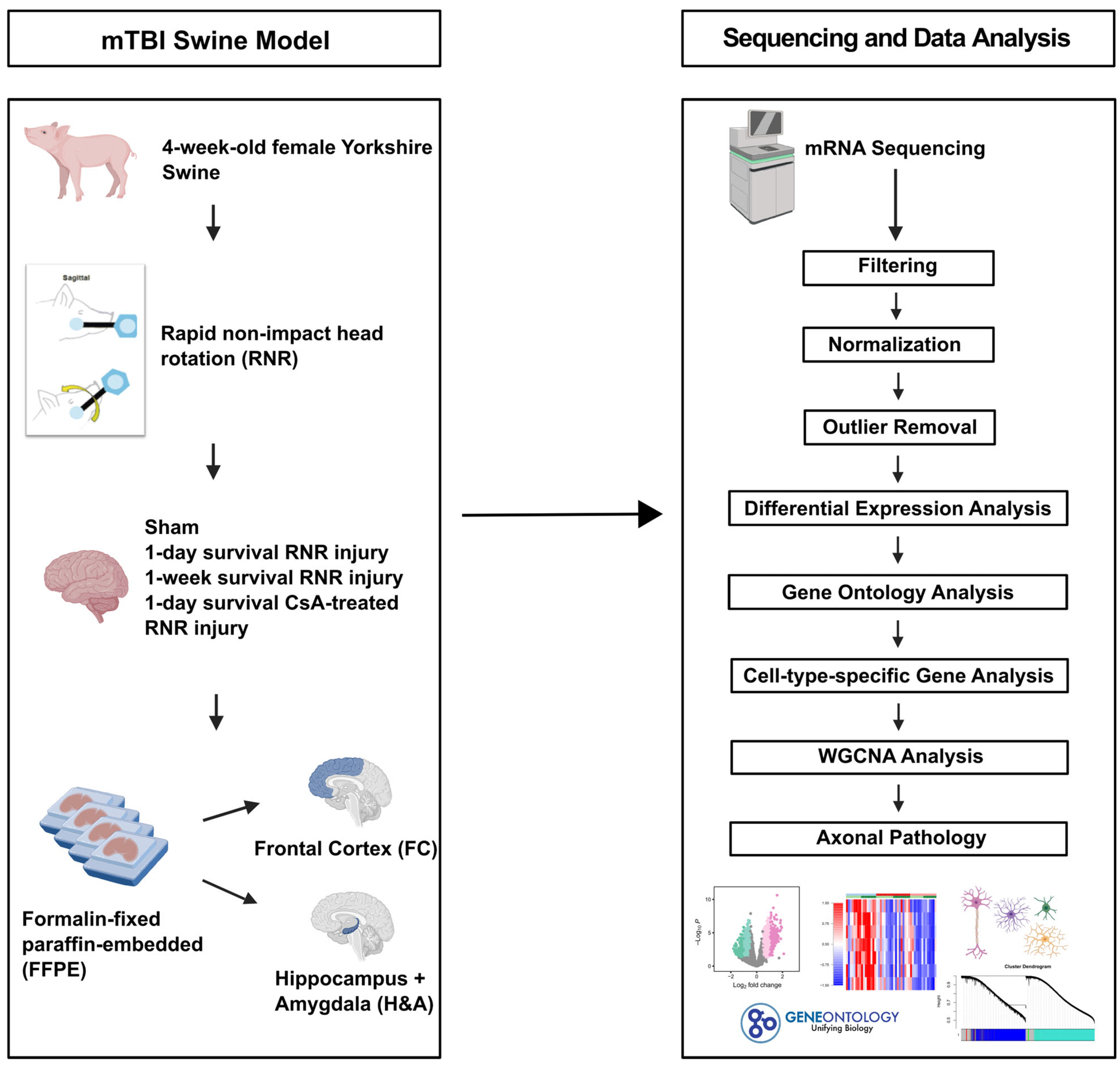 Ijms 26 03531 g009 Ijms 26 03531 g009