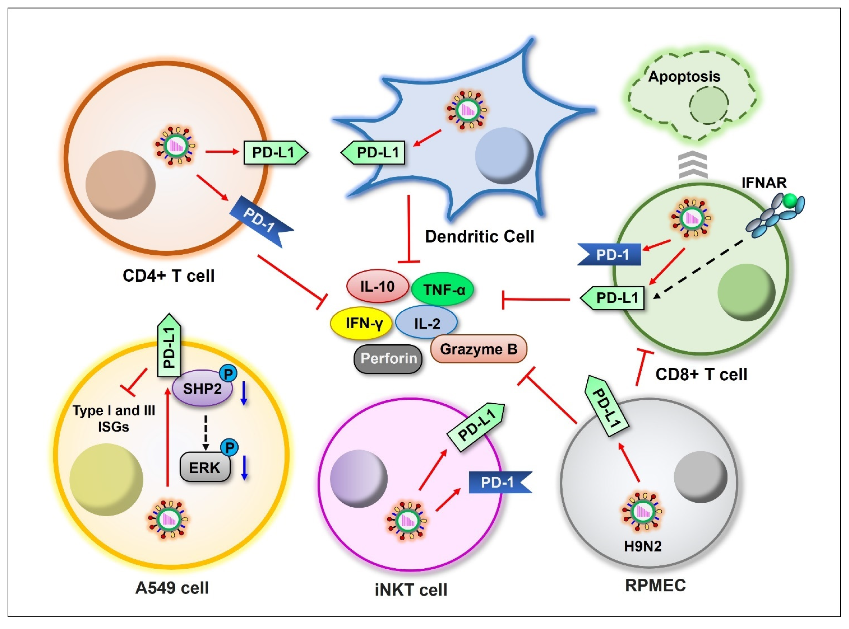 Ijms 26 03584 g003 Ijms 26 03584 g003