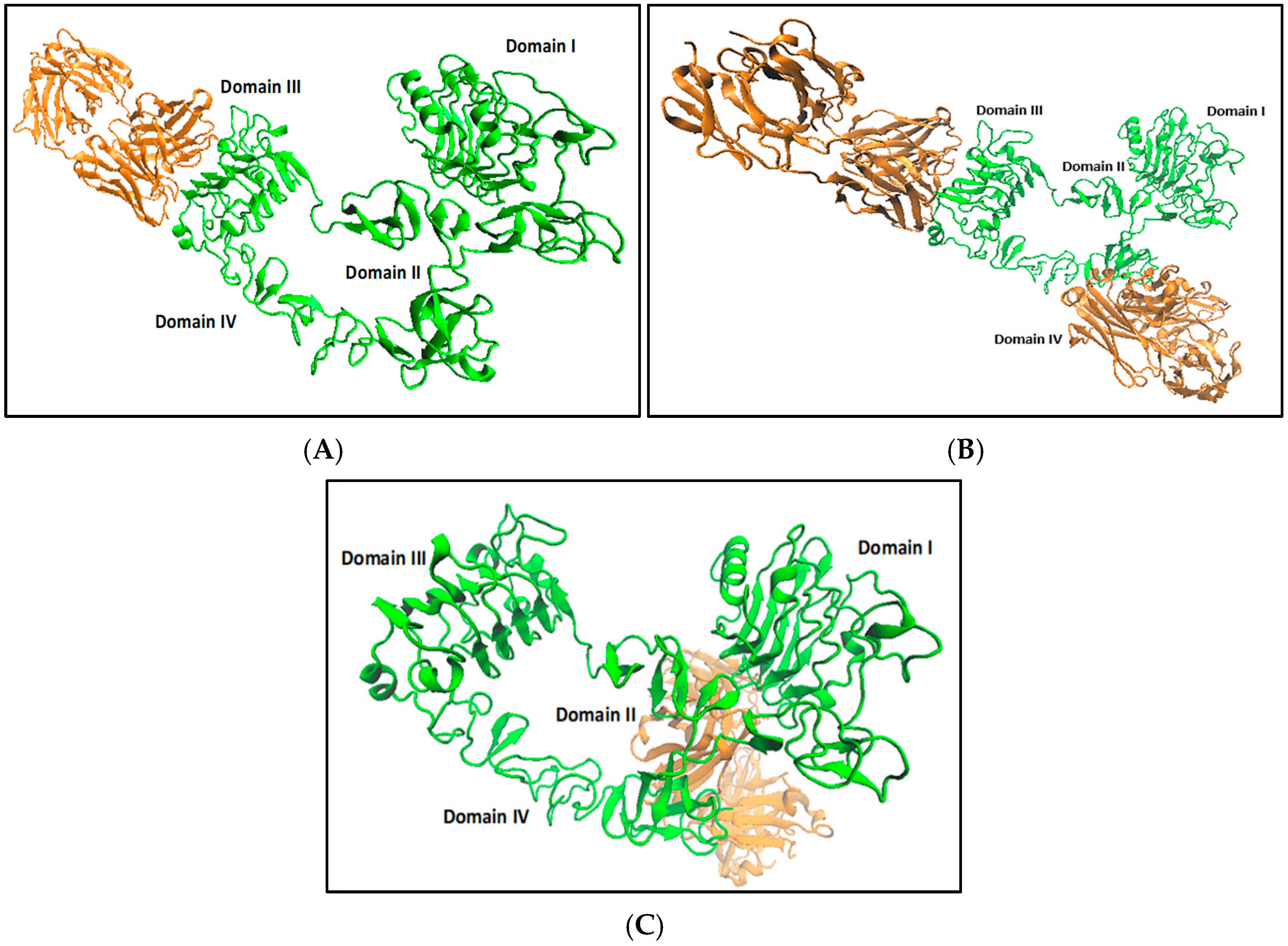 Ijms 26 03594 g003