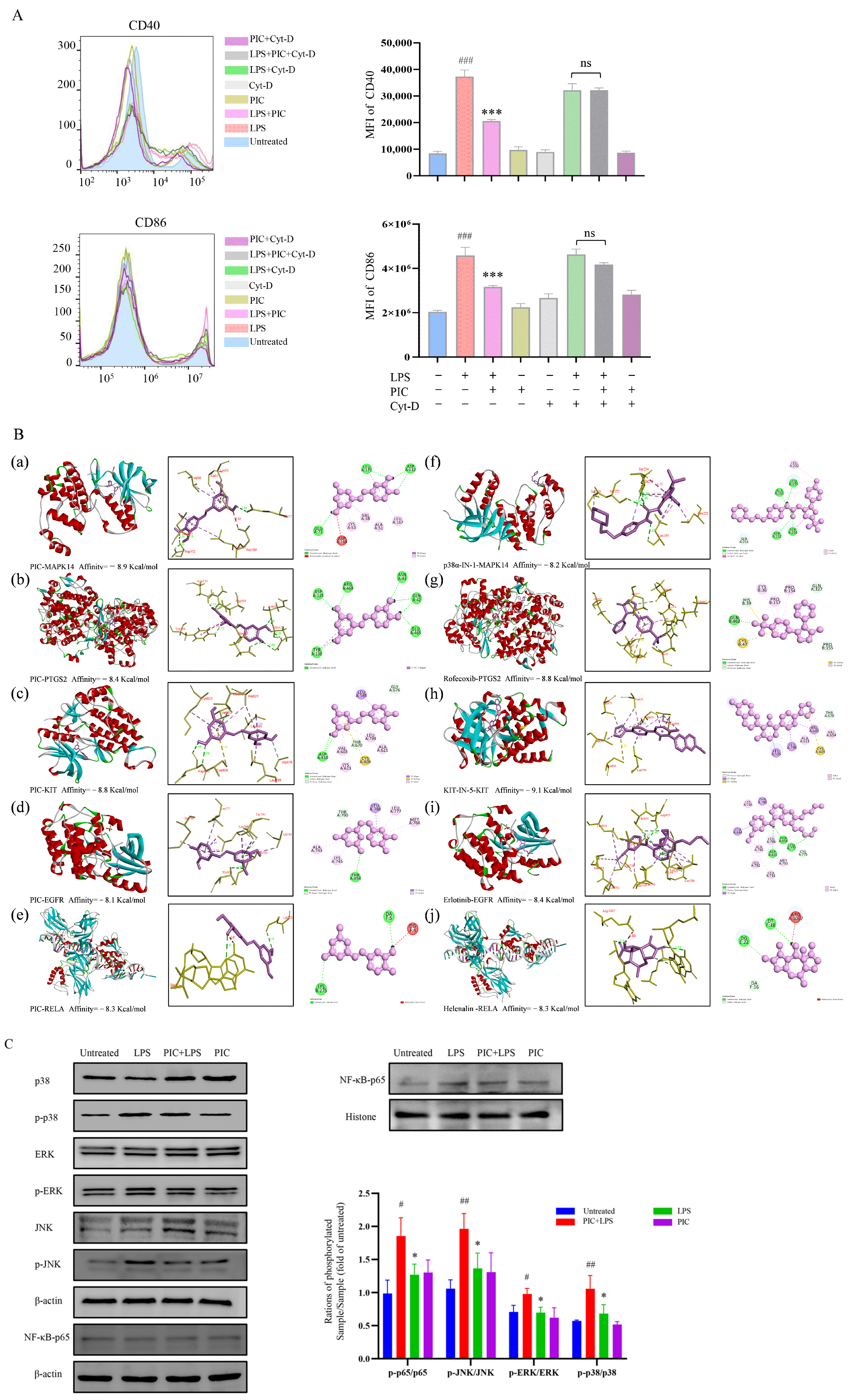 Ijms 26 03626 g007 Ijms 26 03626 g007
