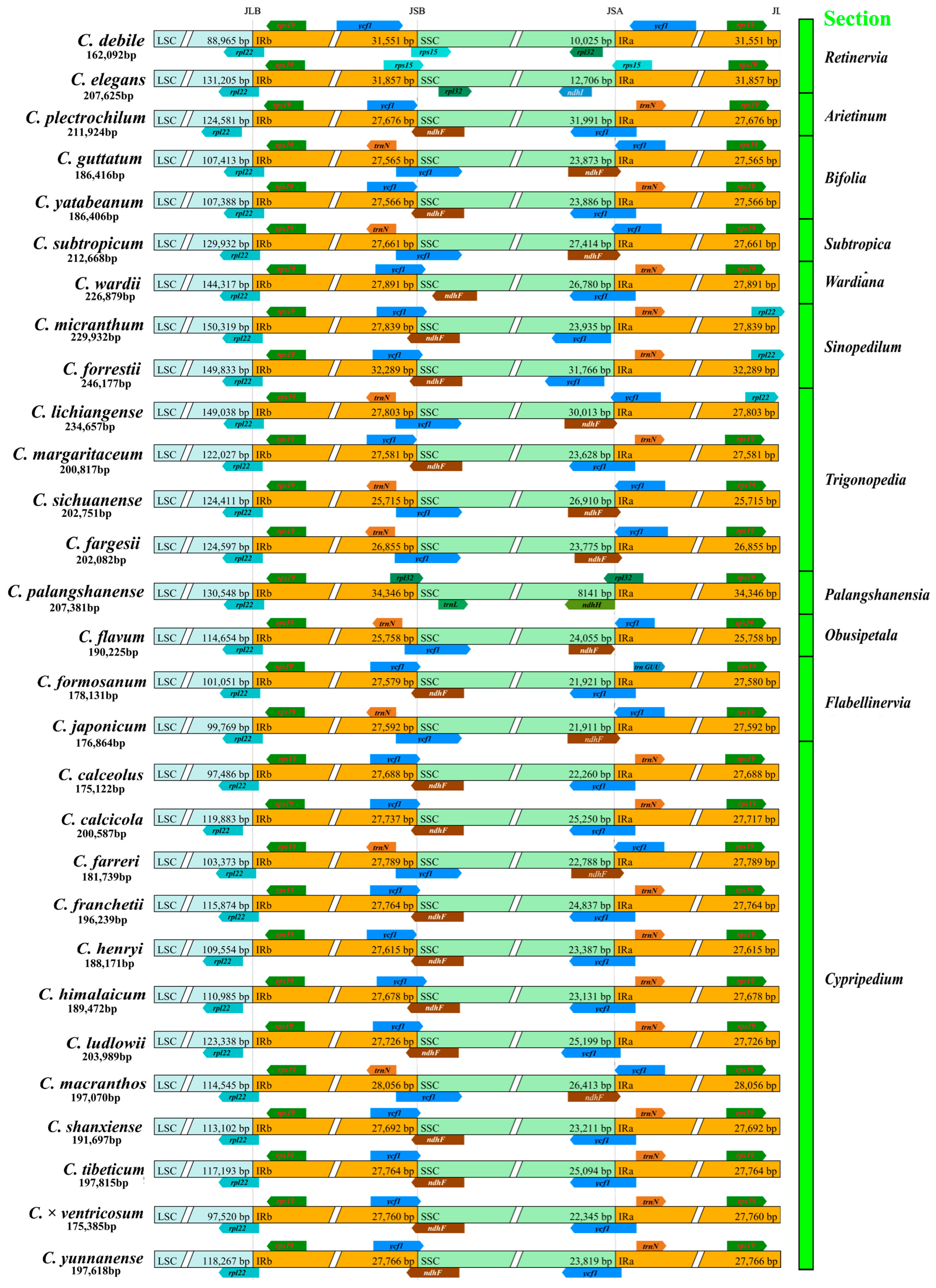 Ijms 26 03691 g001 Ijms 26 03691 g001